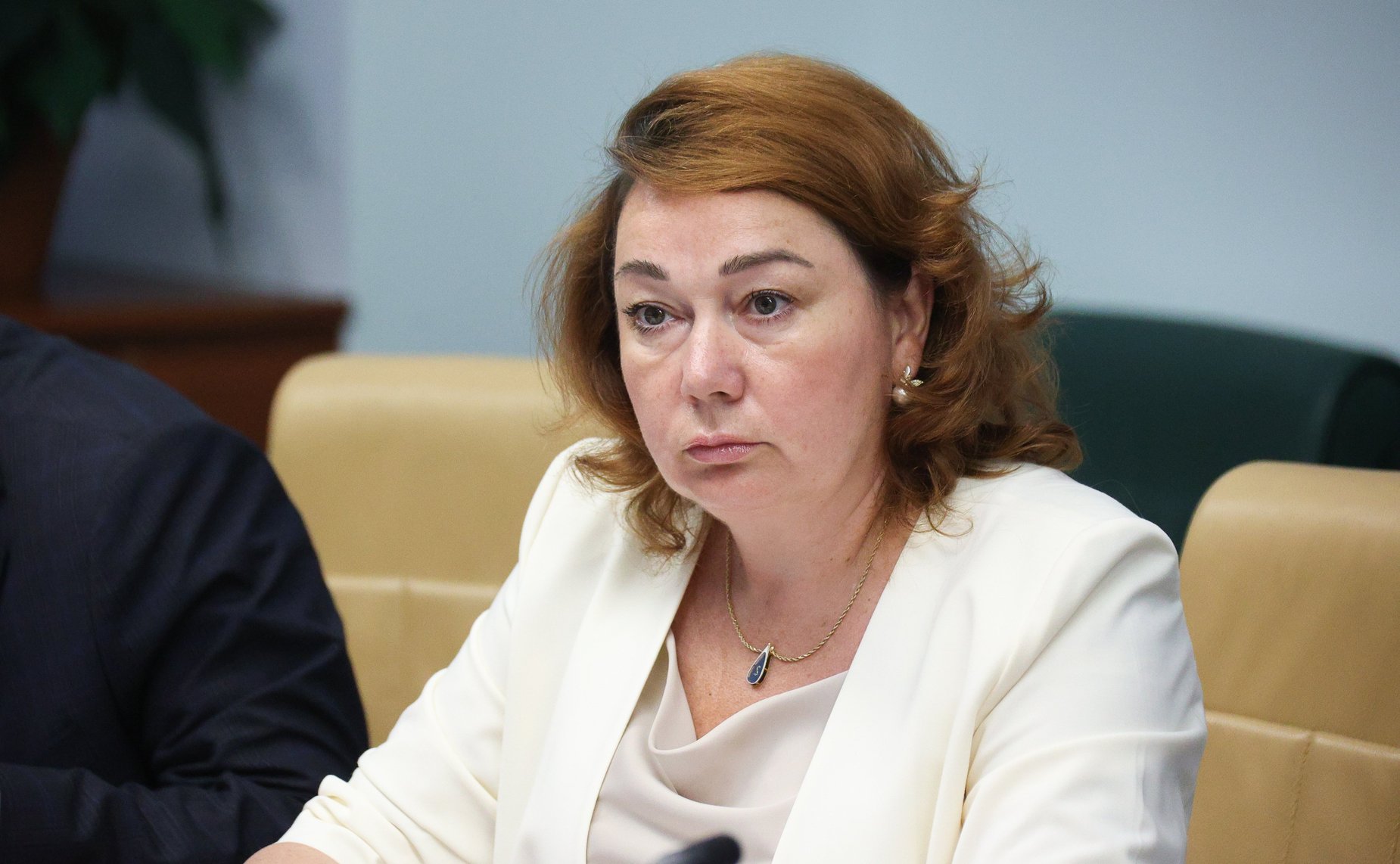 Совещание Комитета Совета Федерации по Регламенту и организации парламентской деятельности «Профилактика и предупреждение коррупционных правонарушений в сфере государственного контроля (надзора) и муниципального контроля»
