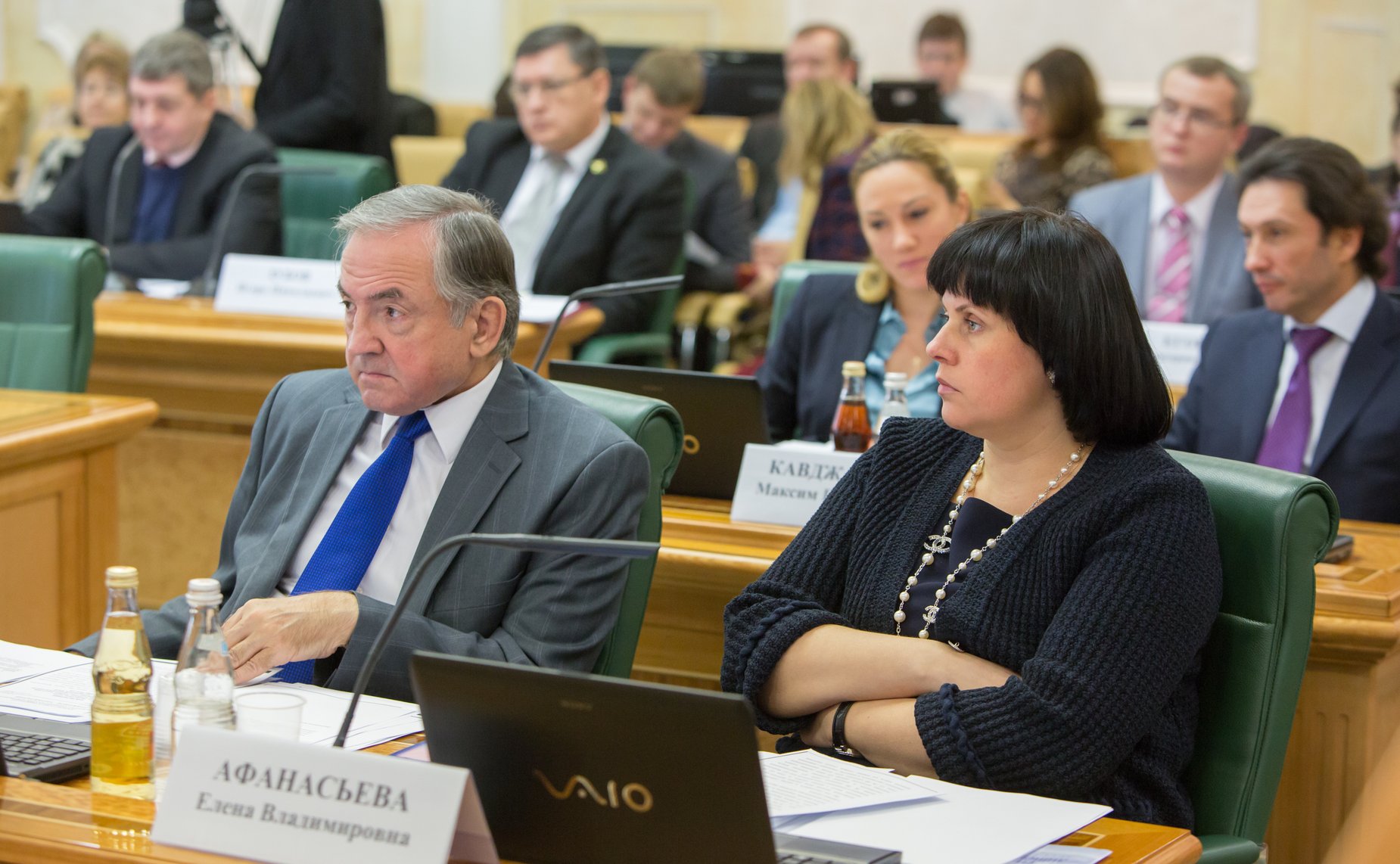 Е. Афанасьева Заседание Комитета СФ по конституционному законодательству и государственному строительству