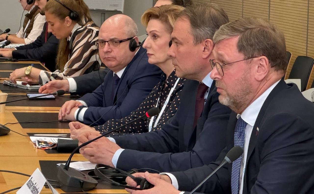 Заседание Специальной рабочей группы Межпарламентского союза по Украине