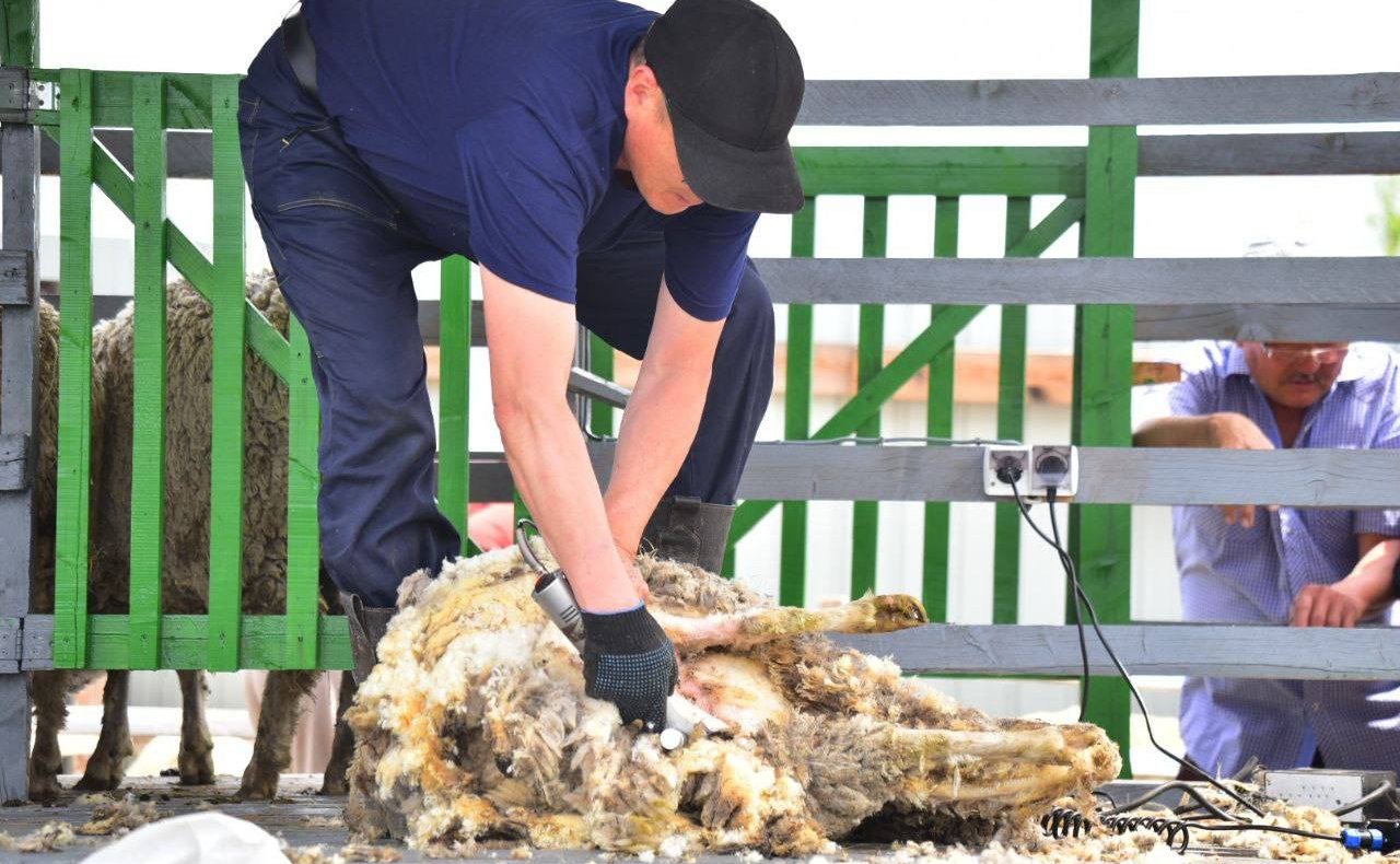 Баир Жамсуев принял участие в культурно-спортивном празднике «Зунай наадан – 2025»