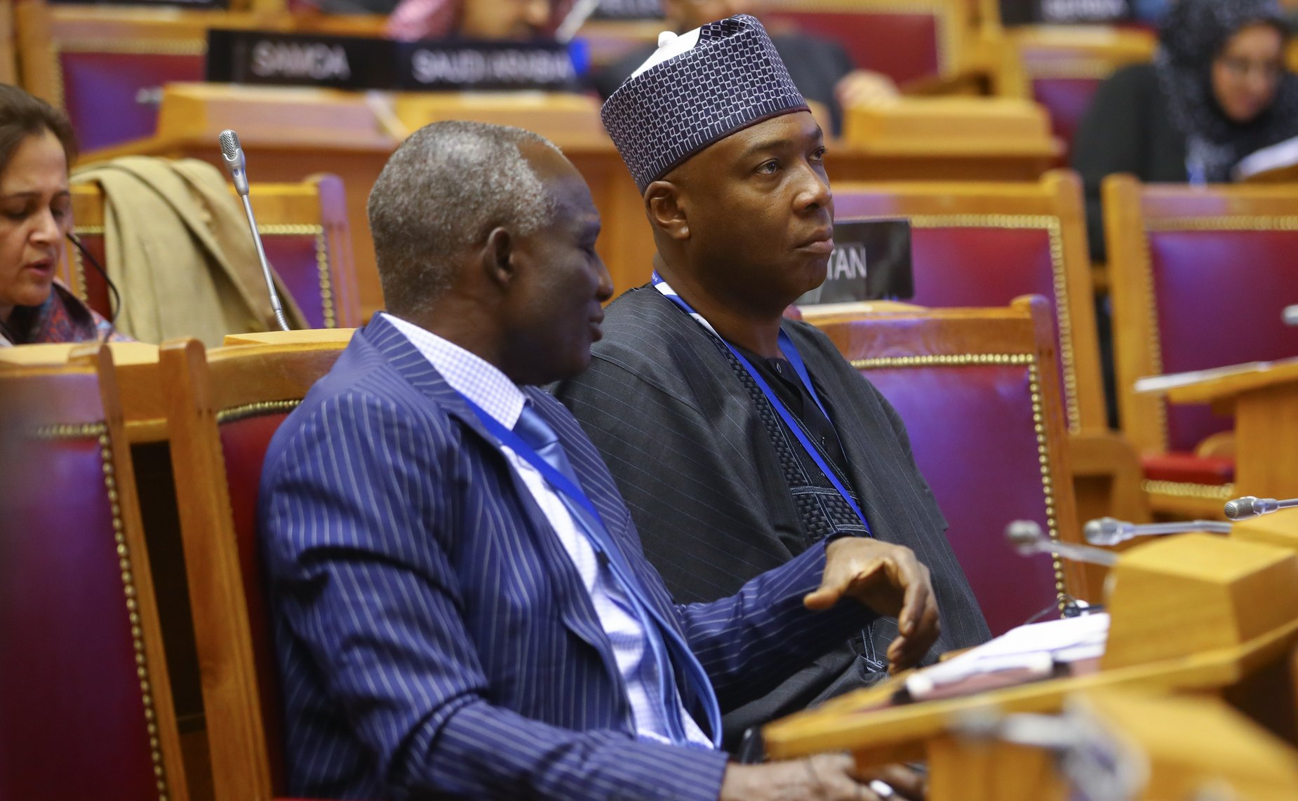 Заседание 137-й Ассамблеи МПС в Санкт-Петербурге на тему «Продвигая культурный плюрализм и мир через межкультурный и межэтнический диалог»