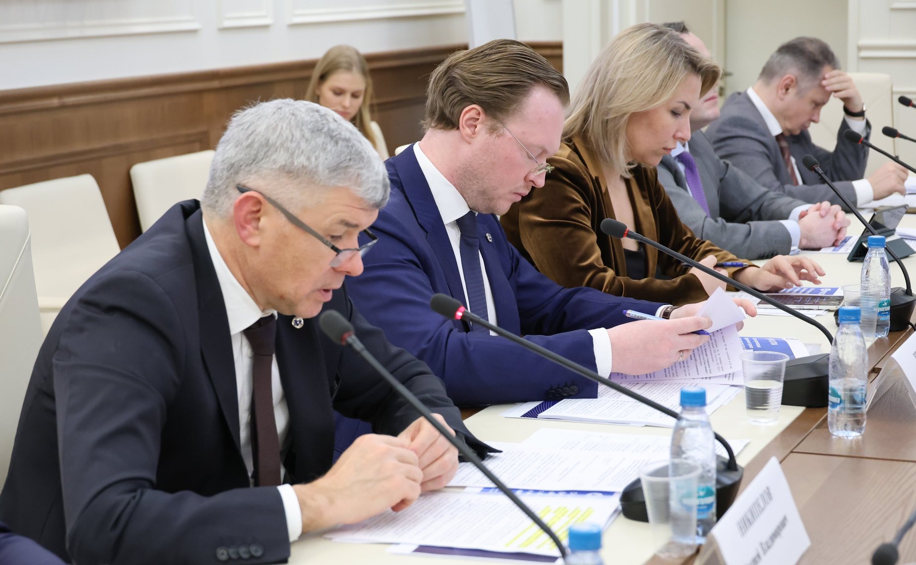 Заседание рабочей группы при Комитете СФ по аграрно-продовольственной политике и природопользованию