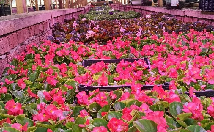 Рабочая поездка Сергея Мартынова в Марий Эл