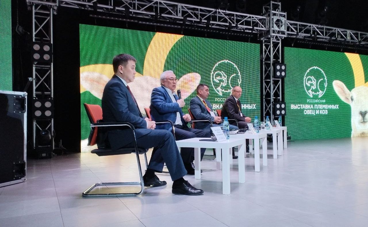 Баир Жамсуев посетил второй этап Российской выставки племенных овец и коз в Чите