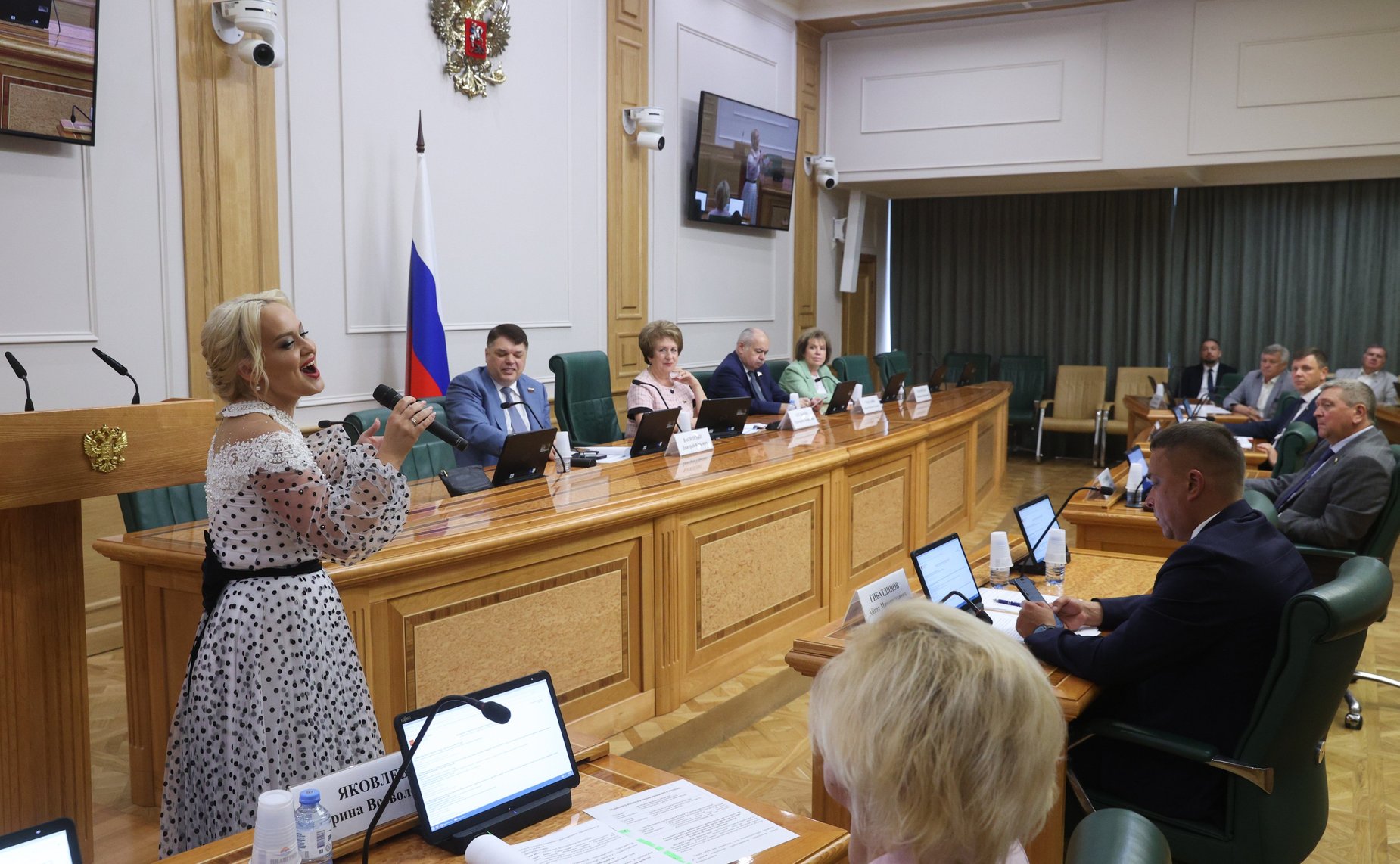 Заседание Комитета Совета Федерации по науке, образованию и культуре