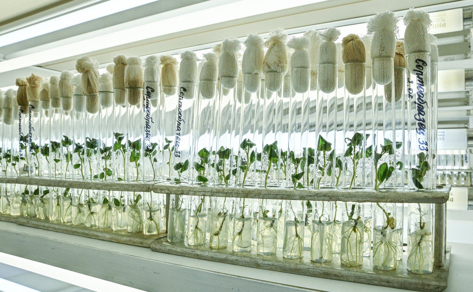 Выездное совещание сенаторов РФ в Тюменской области