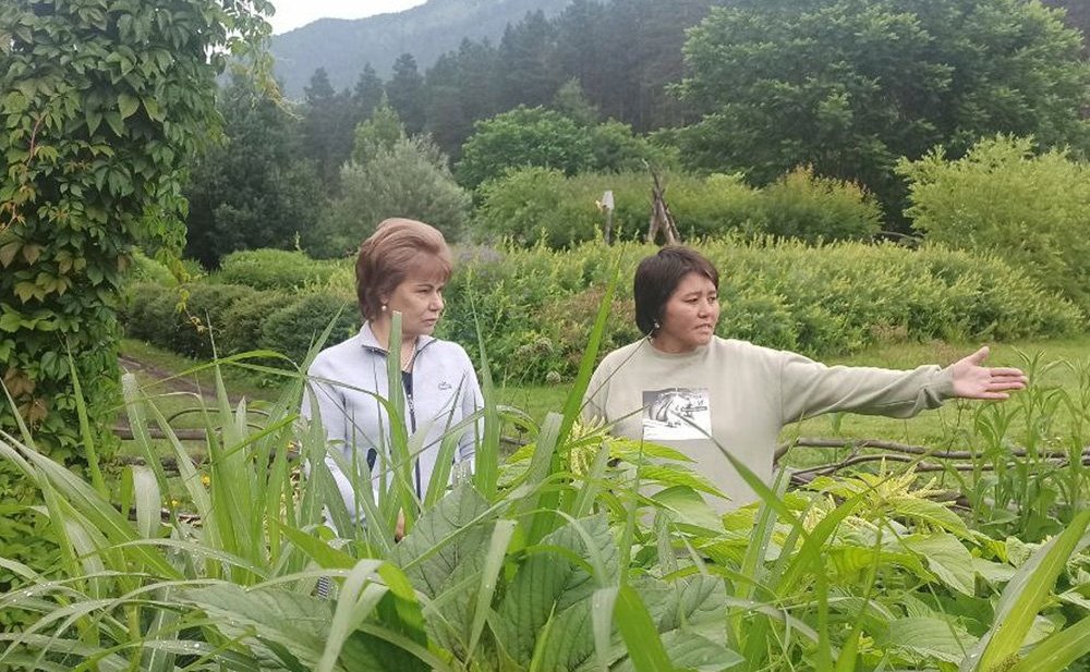 Татьяна Гигель в ходе рабочей командировки по региону побывала в республиканском ботаническом саду – филиале ЦСБС СО РАН