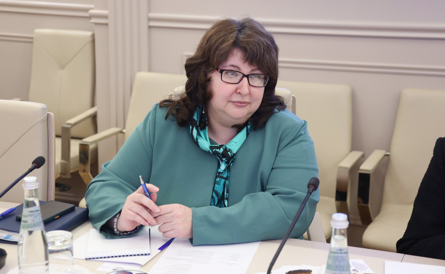 Встреча Елены Перминовой c председателем Комитета по вопросам семьи, женщин и детей Милли Меджлиса Азербайджанской Республики