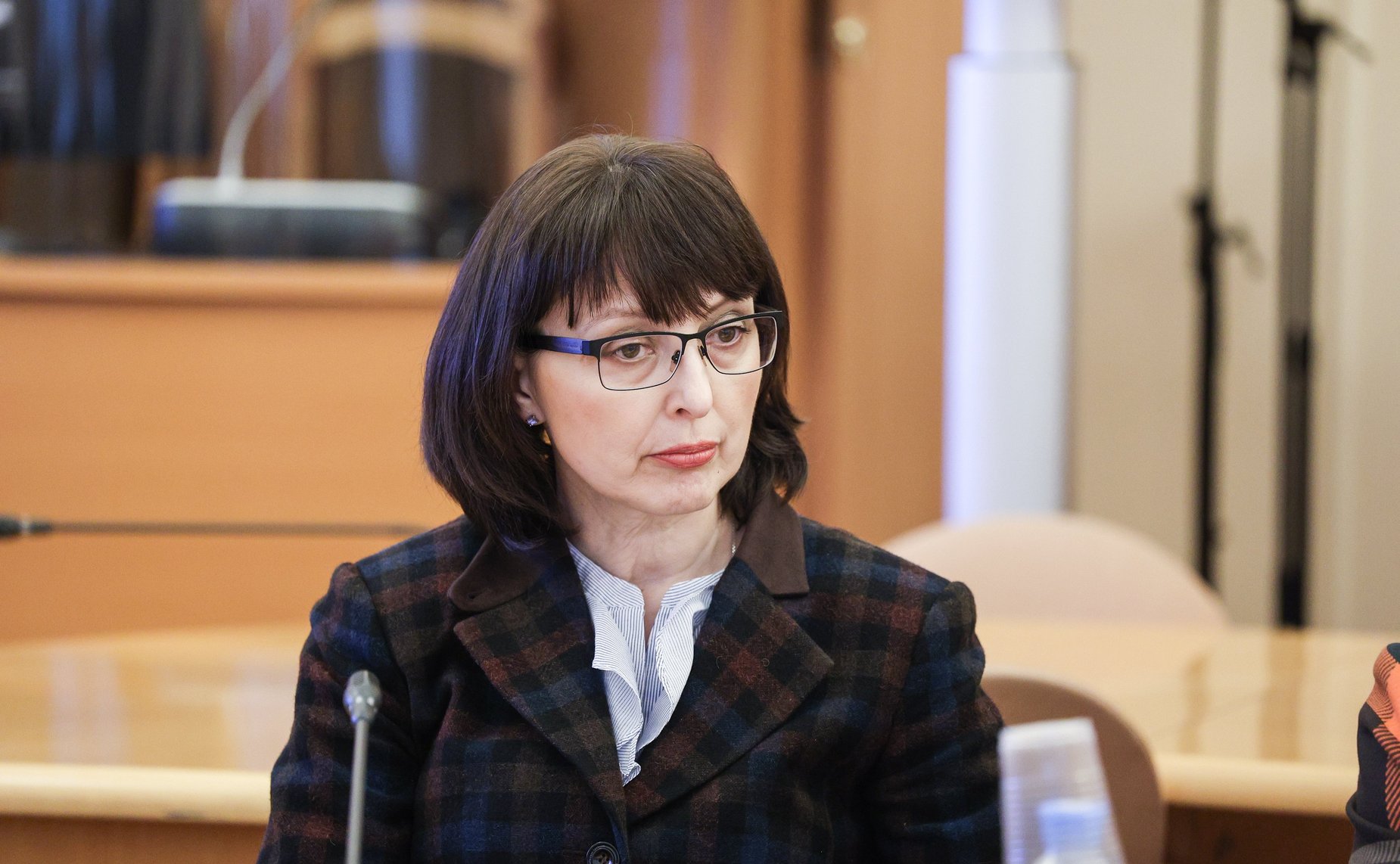 Заседание комиссии Совета законодателей РФ по проблемам международного сотрудничества