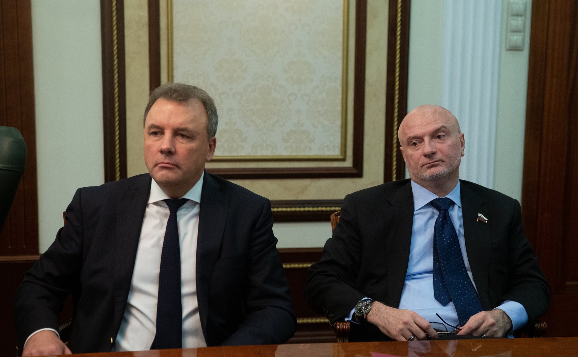 Заседание Комитета СФ по международным делам