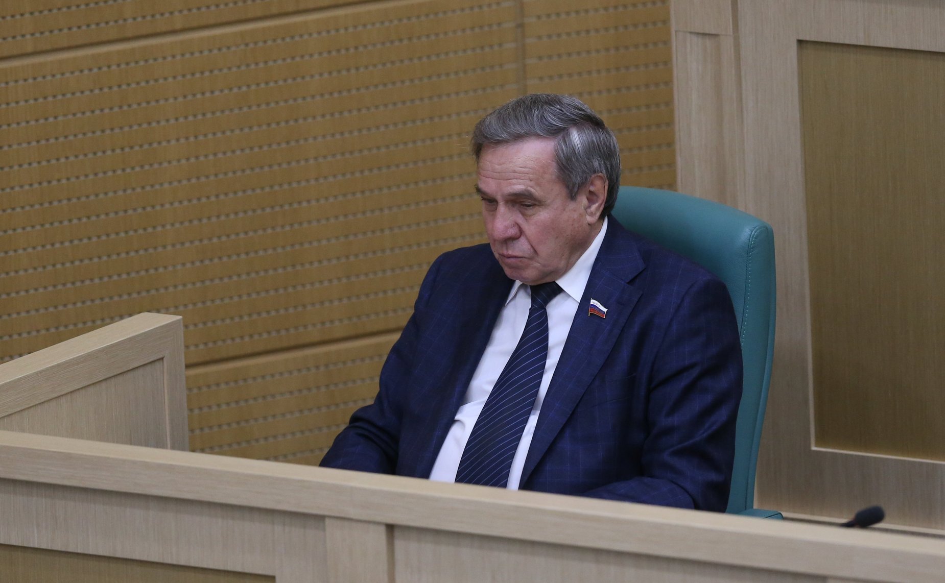 Владимир Городецкий