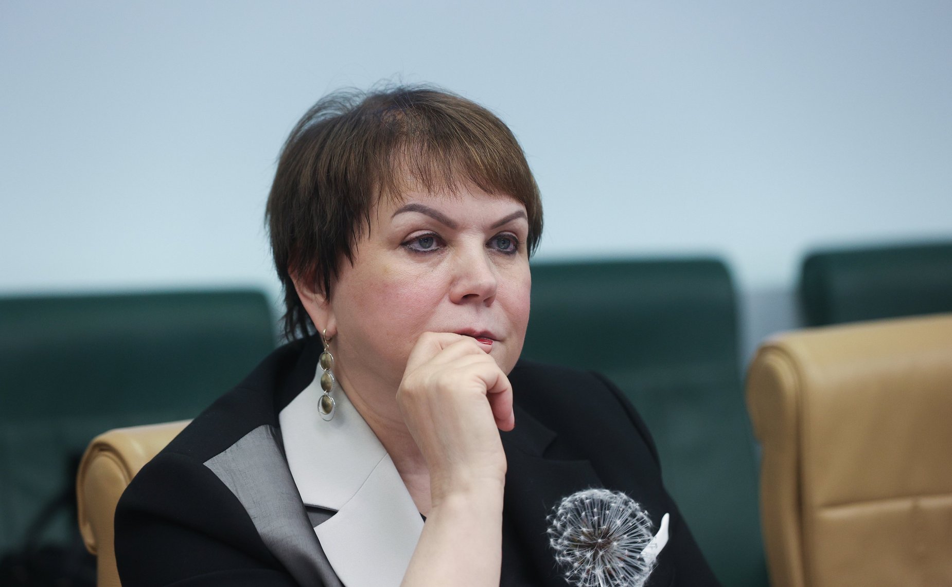 Круглый стол Комитета СФ по экономической политике на тему «Законодательное обеспечение создания и эксплуатации атомных станций малой мощности»