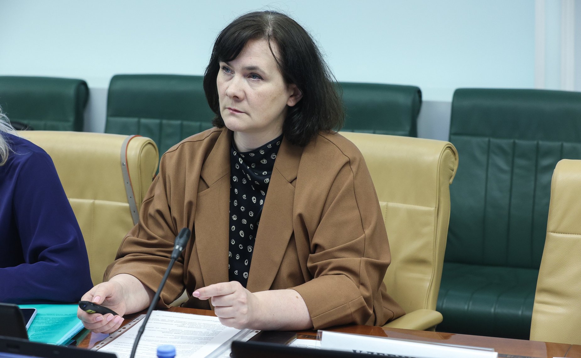 Расширенное заседание Комитета СФ по социальной политике (в рамках Дней Рязанской области в РФ)