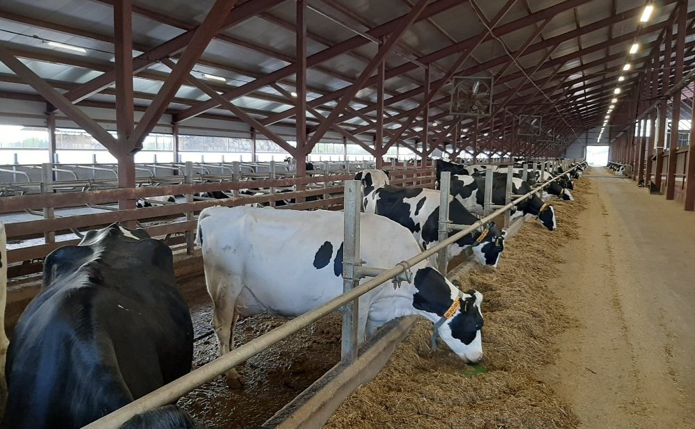 Сергей Мартынов встретился с председателем колхоза «Первое мая» в Марий Эл