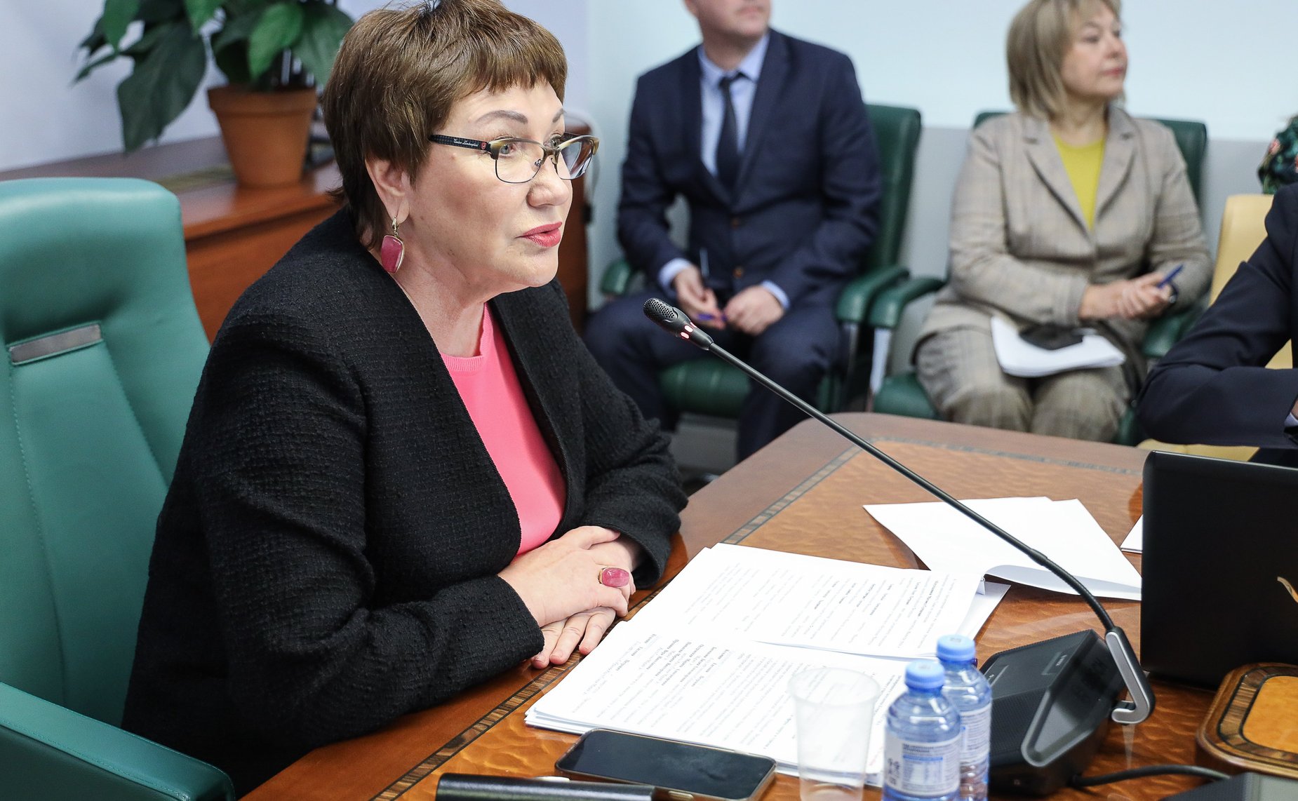 Расширенное заседание Комитета СФ по социальной политике (в рамках Дней Республики Марий Эл в СФ)