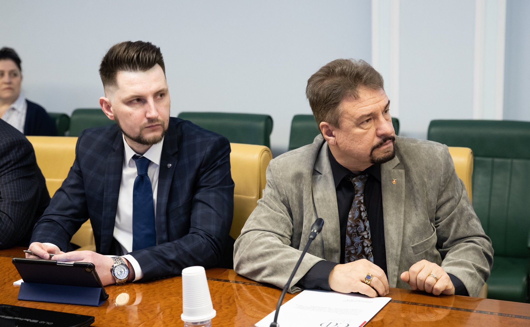 Заседание Экспертно-консультативного совета при Комитете СФ по конституционному законодательству и государственному строительству