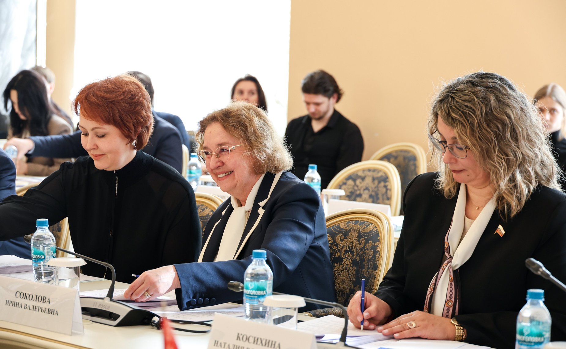 Участие сенаторов РФ в заседании Постоянной комиссии МПА СНГ по социальной политике и правам человека