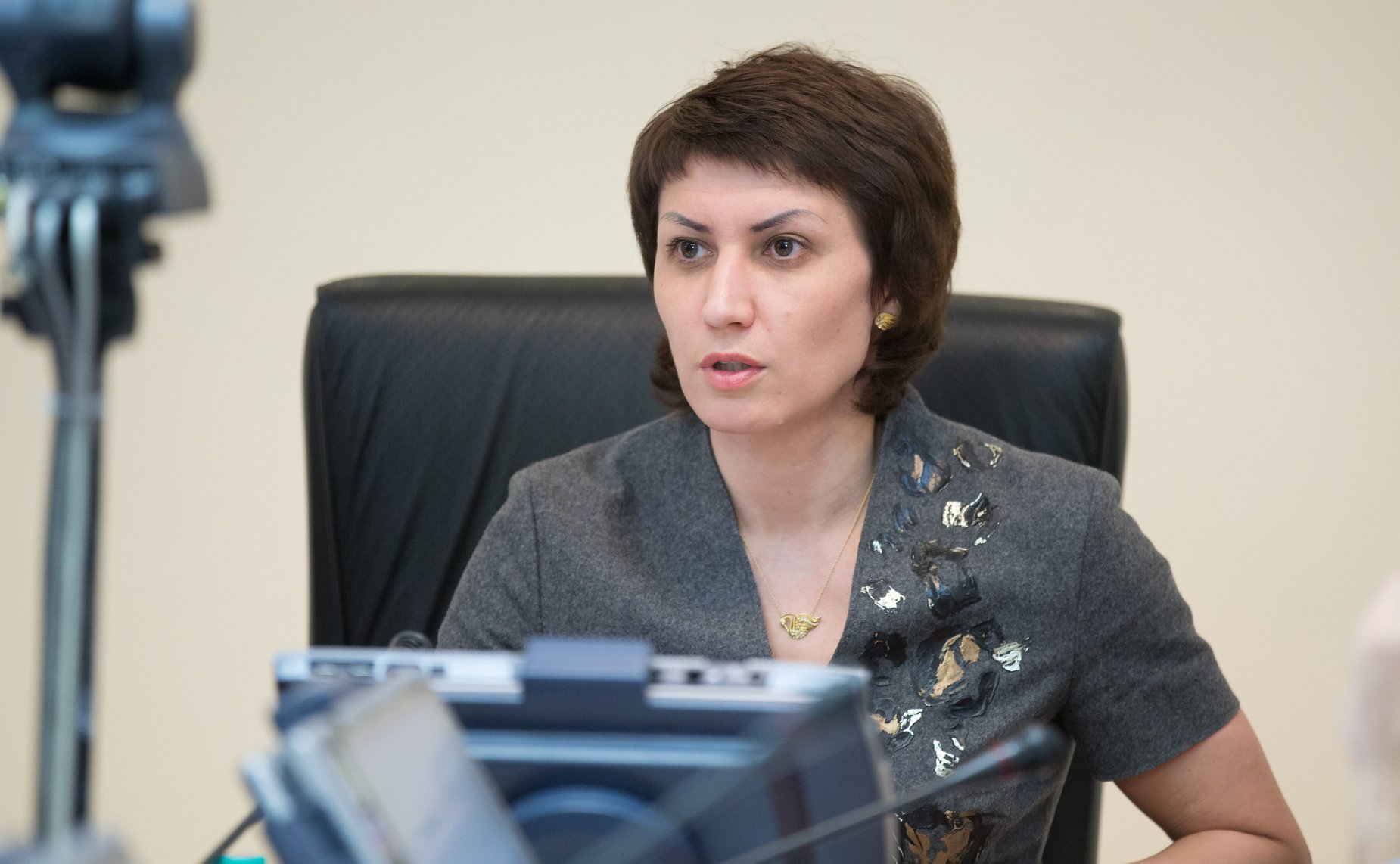 Т. Лебедева на заседании рабочей группы при Комитете СФ по социальной политике