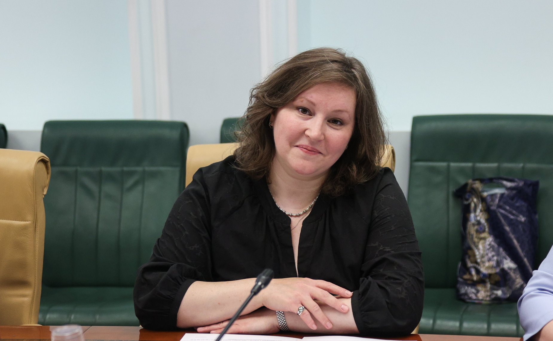 Круглый стол Комитета СФ по конституционному законодательству и государственному строительству