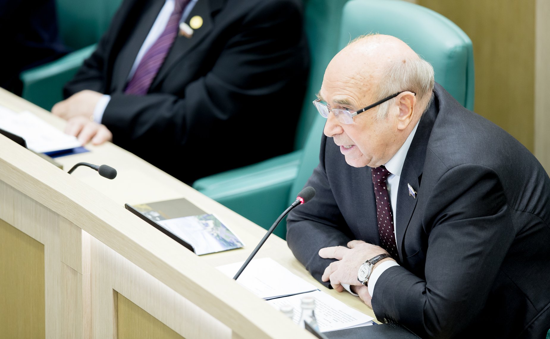 381-зеседание Совета Федерации Рогоцкий