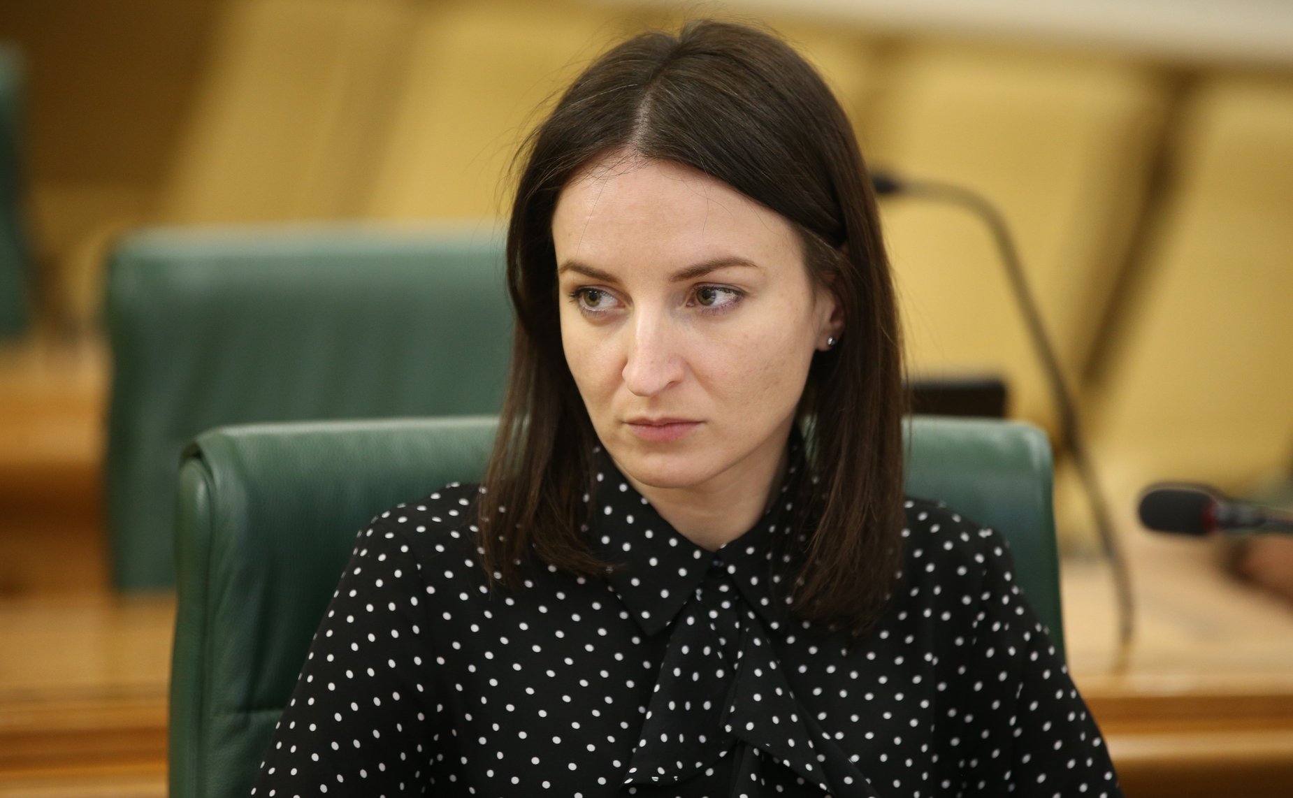 «Круглый стол», посвященный совершенствованию федерального законодательства в области обеспечения экологической безопасности, развития экологического образования и экологической культуры