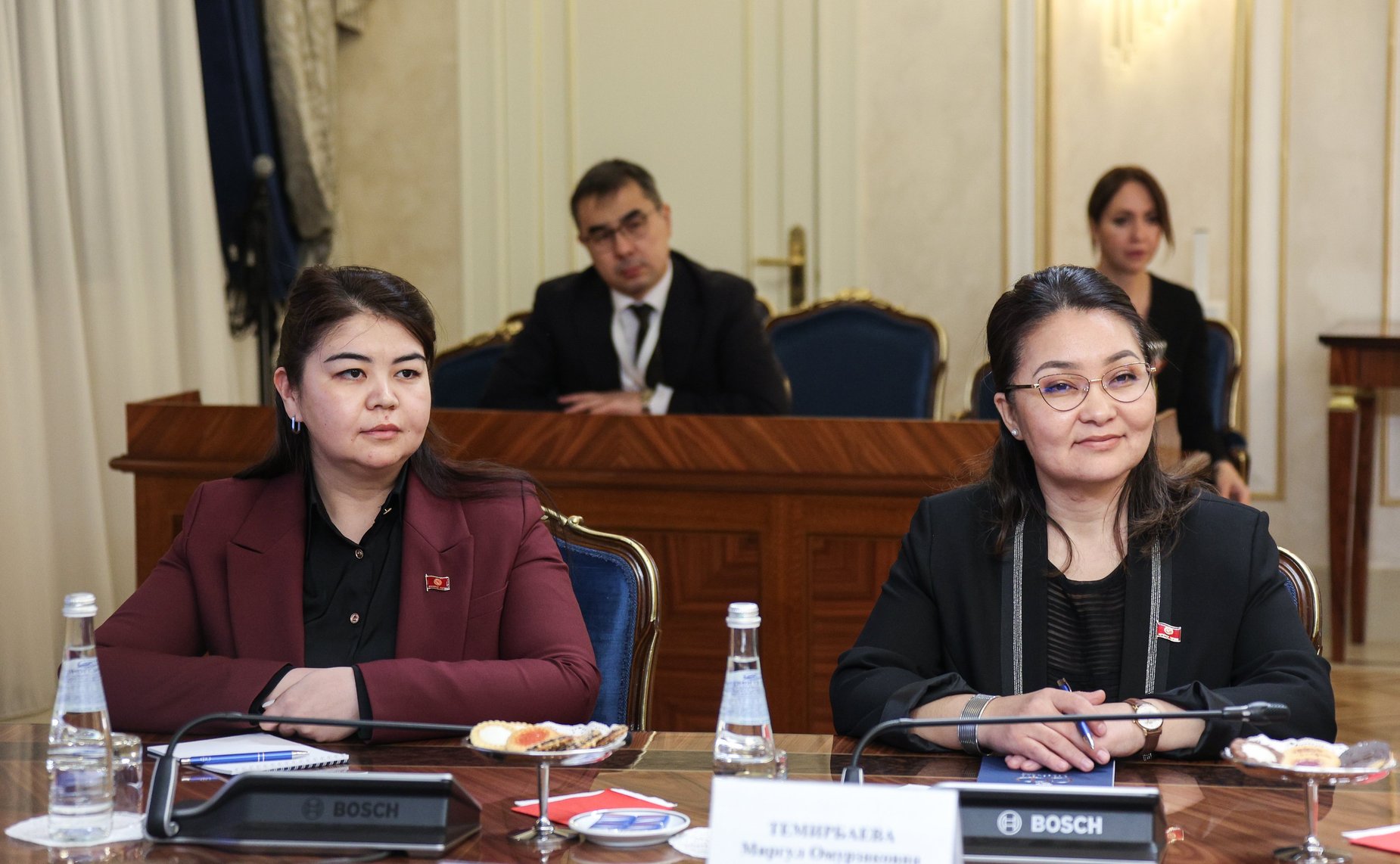 Встреча женщин-парламентариев России и Кыргызстана