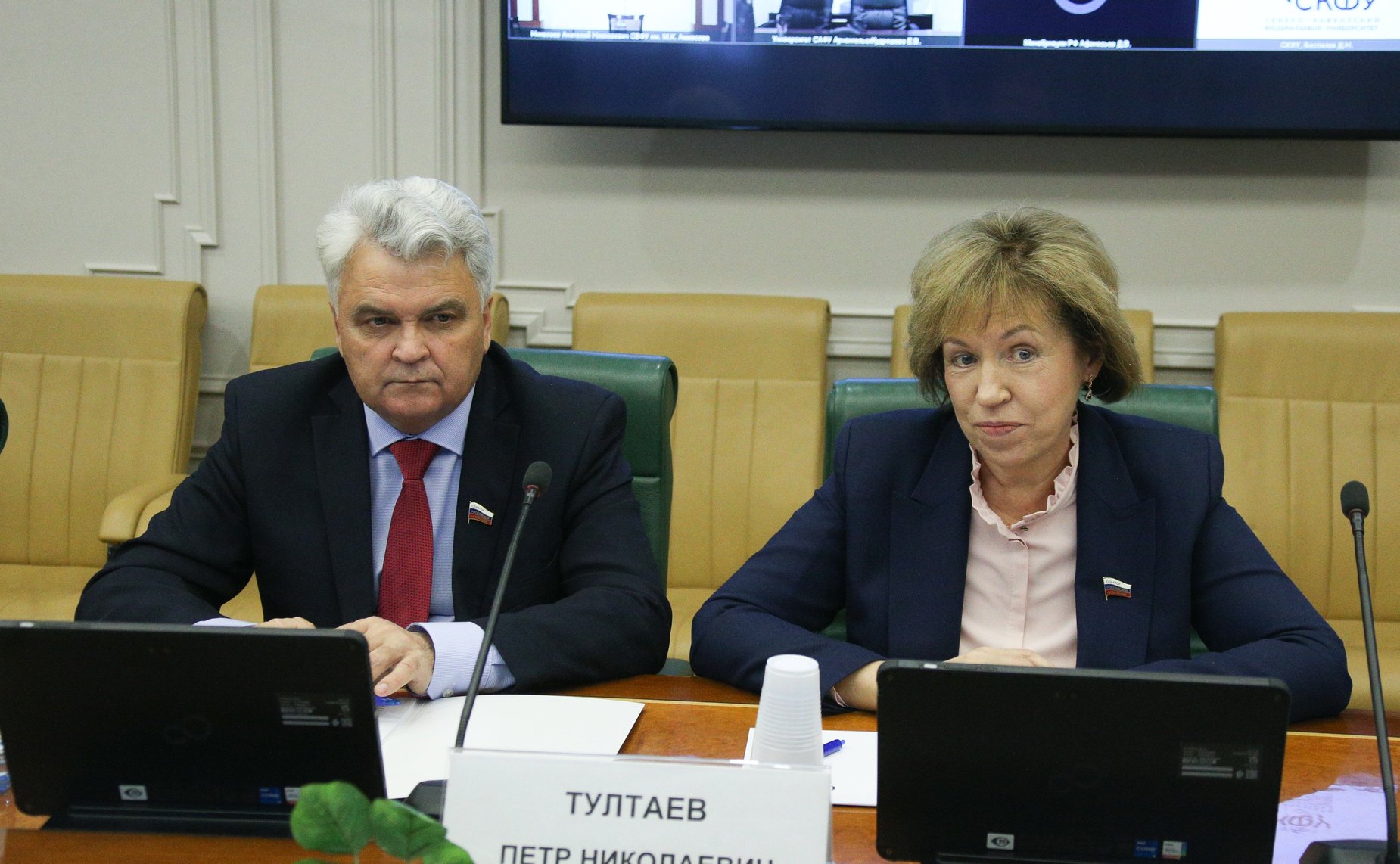 «Круглый стол» Комитета СФ по науке, образованию и культуре