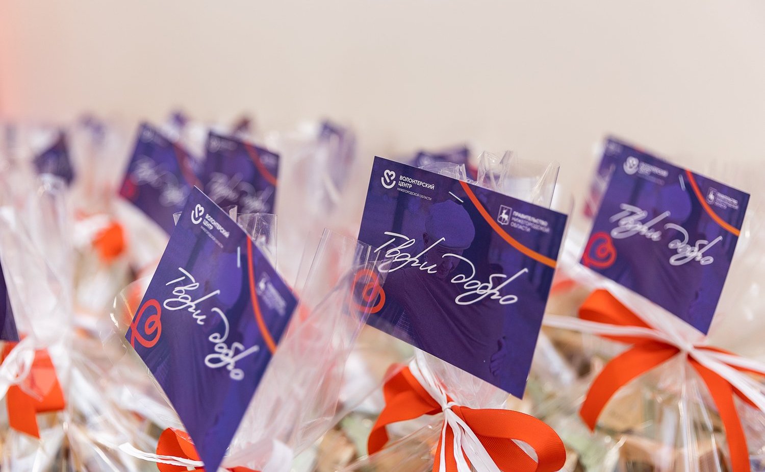 Александр Вайнберг принял участие в церемонии подведения итогов открытого конкурса на вручение памятного знака общественного признания за участие в развитии добровольческого движения «Меняющие мир — 2023»