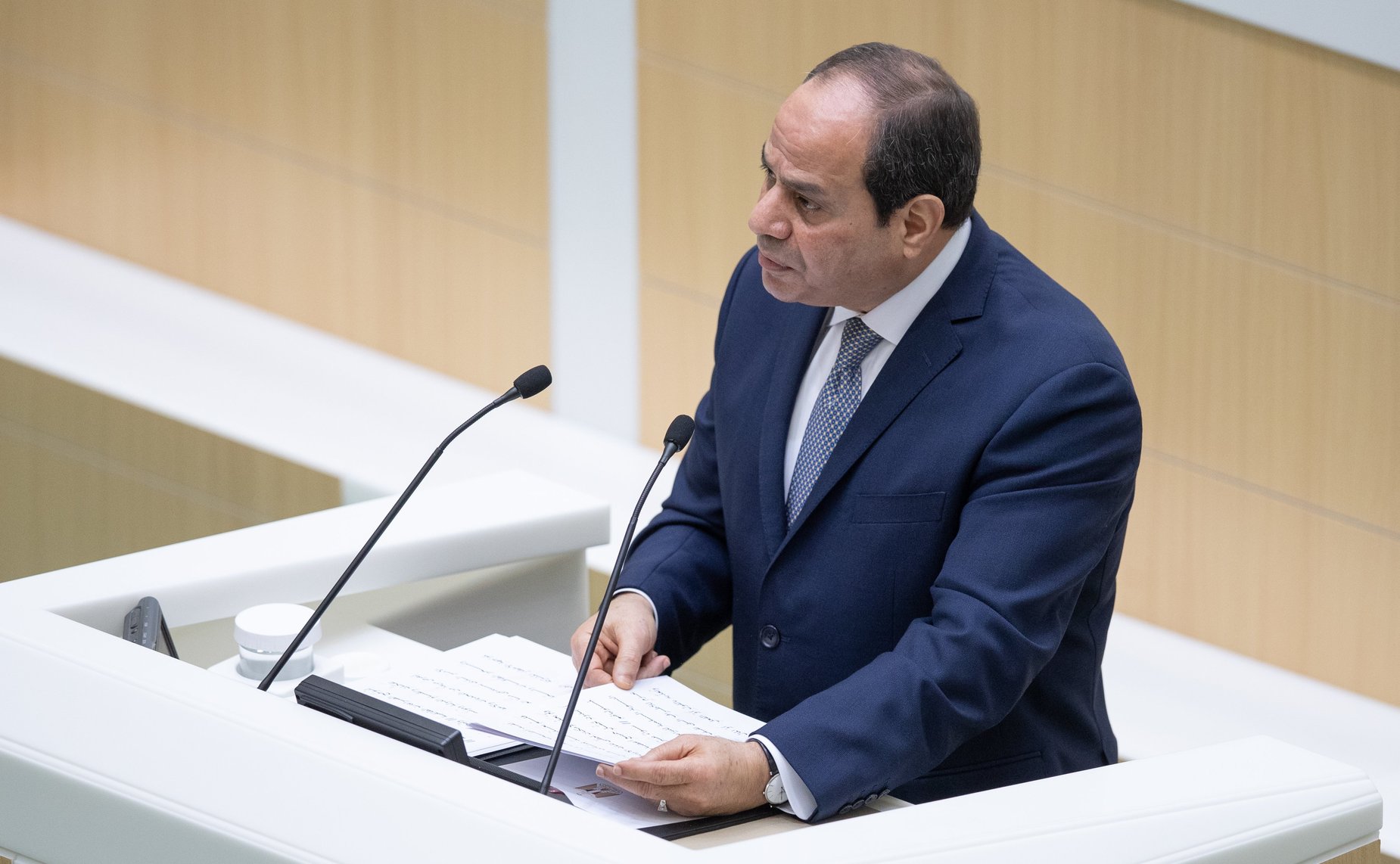 Выступление Президента Египта Абдельфаттаха Ас-Сиси в Совете Федерации