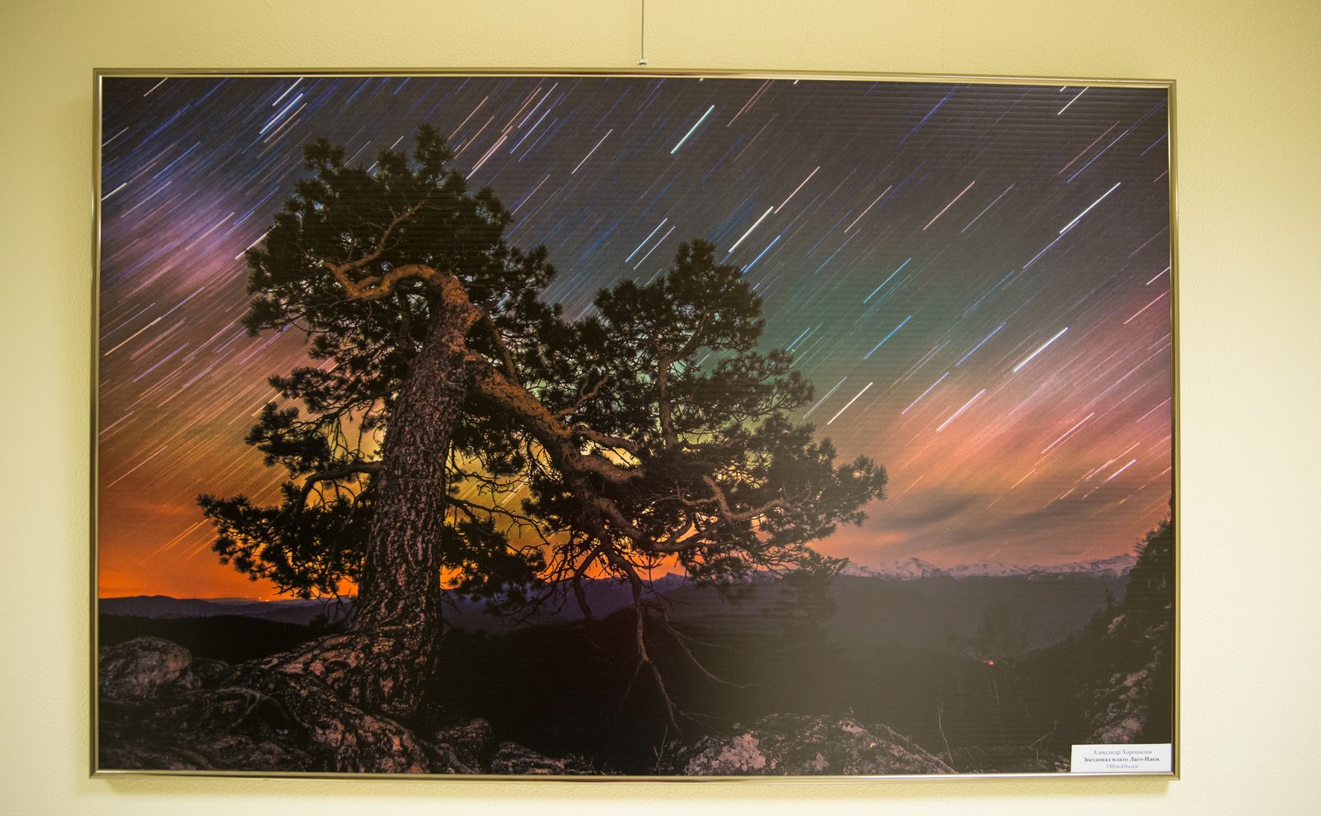 Открытие фотовыставки «Моя Адыгея», посвященной 100-летию со дня образования республики