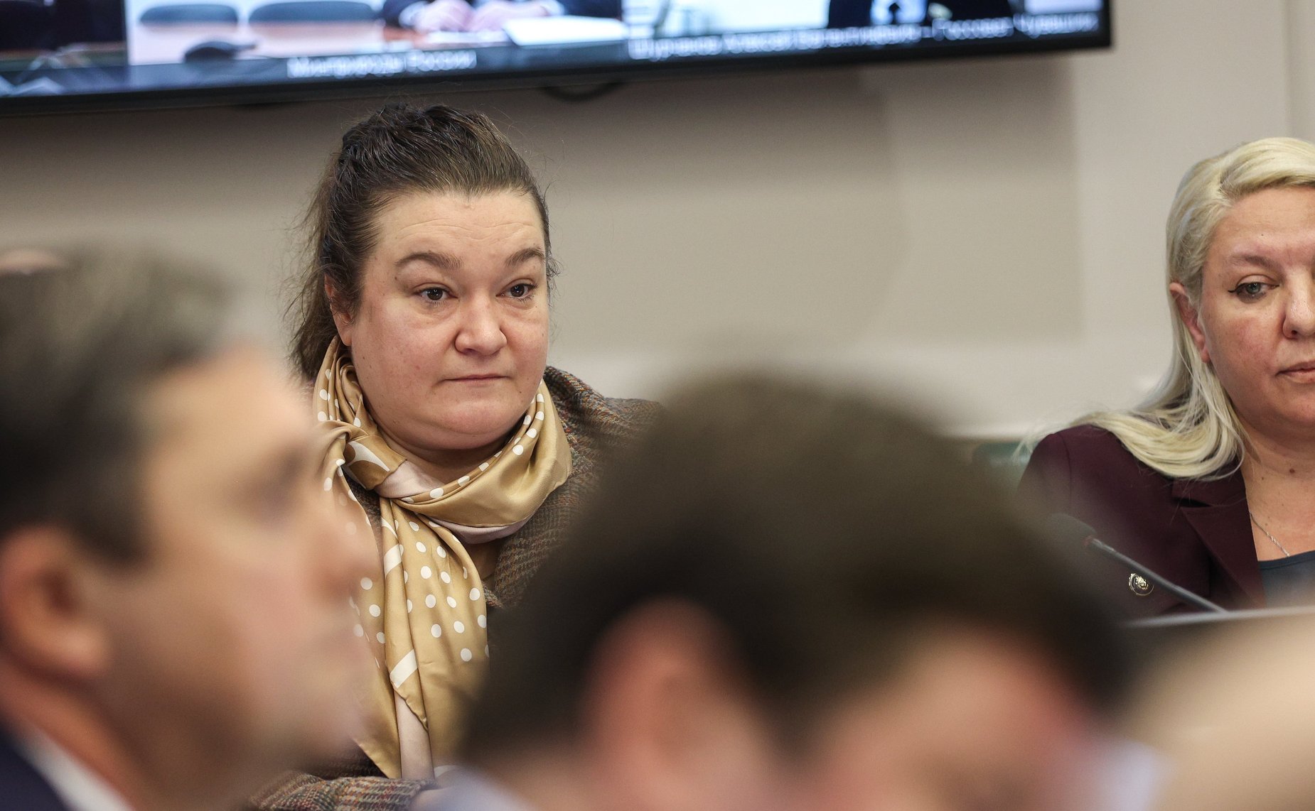 Заседание Комитета СФ по аграрно-продовольственной политике и природопользованию