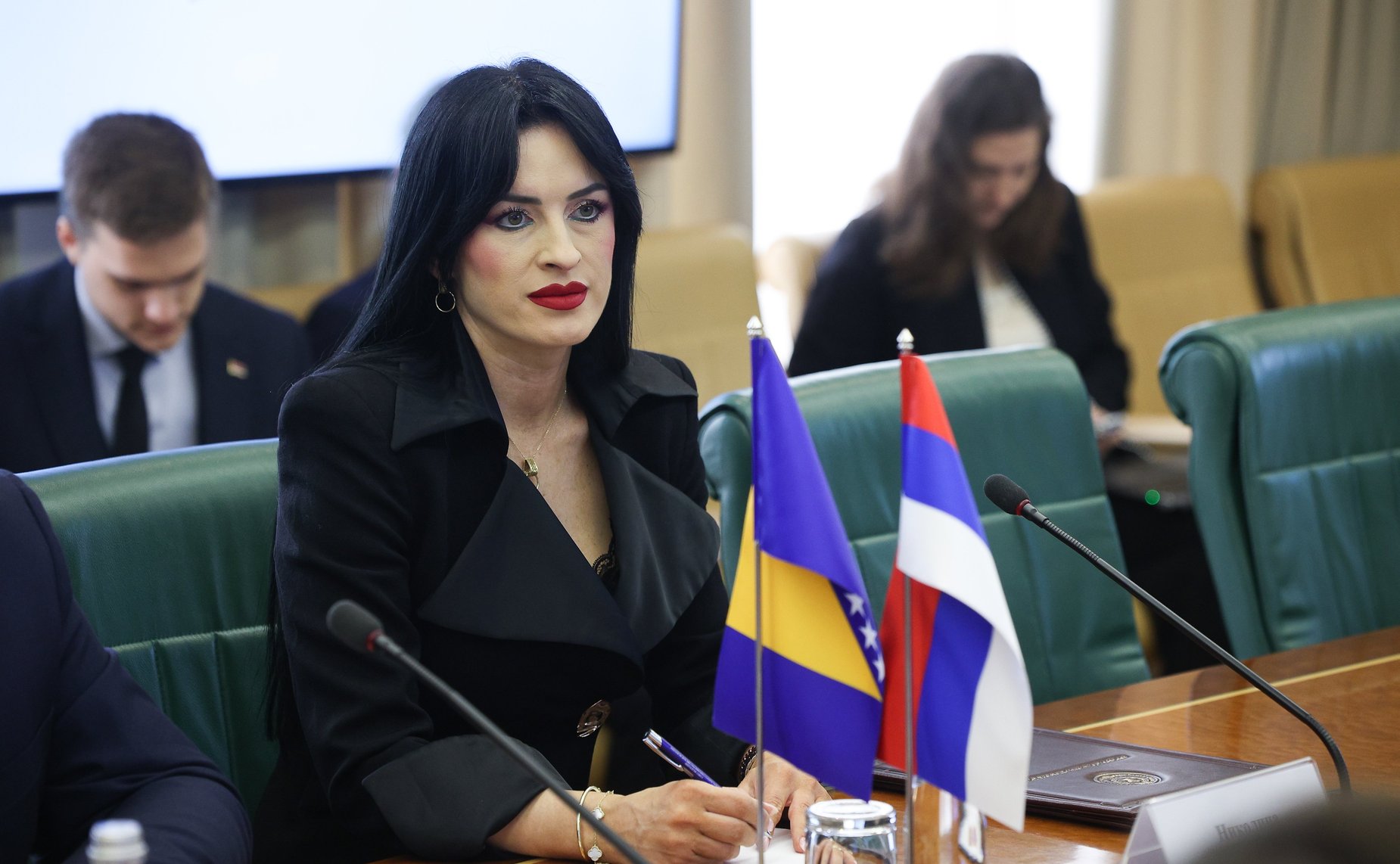 Константин Косачев встретился с Председателем Народной скупщины Республики Сербской (Босния и Герцеговина) Ненадом Стевандичем