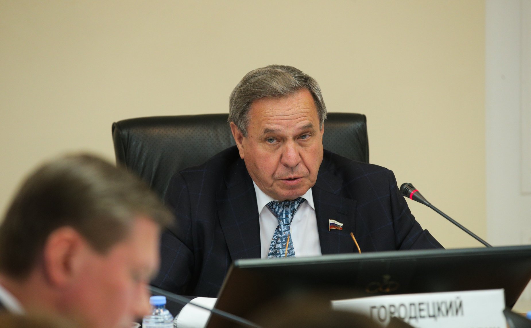 Владимир Городецкий