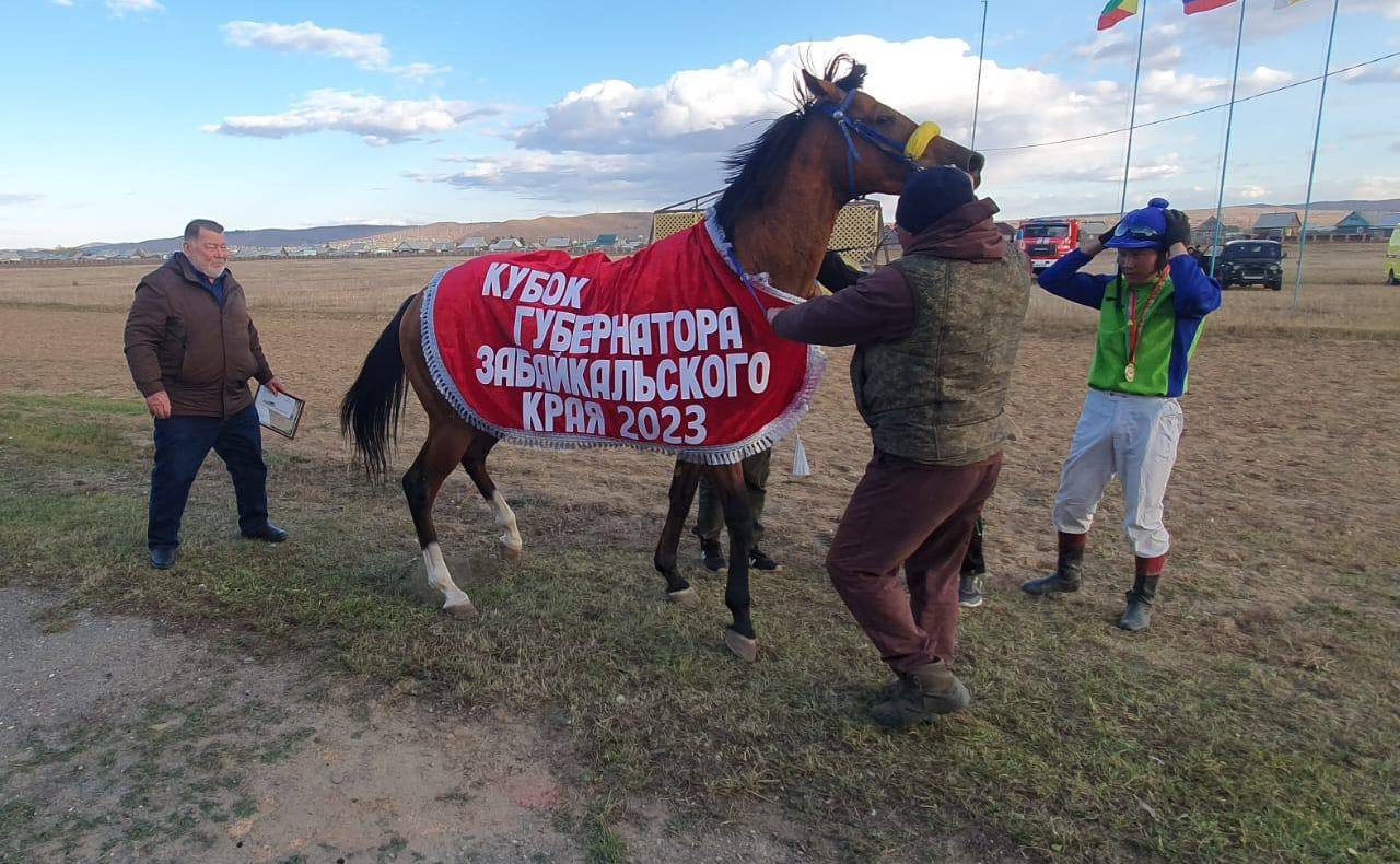 Баир Жамсуев принял участие в закрытии конноспортивного сезона в регионе