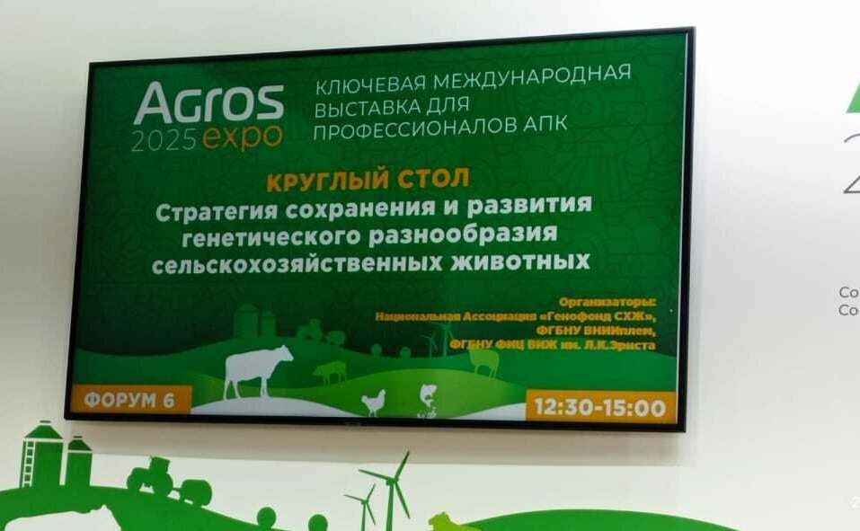 Сергей Митин принял участие в работе круглого стола на тему «Стратегия сохранения и развития генетического разнообразия сельскохозяйственных животных»