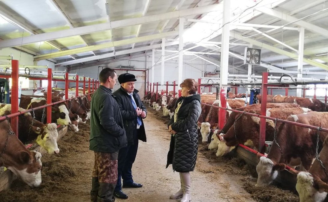 Татьяна Гигель в ходе рабочей командировки по региону побывала на новой ферме в селе Гусевка Чойского района