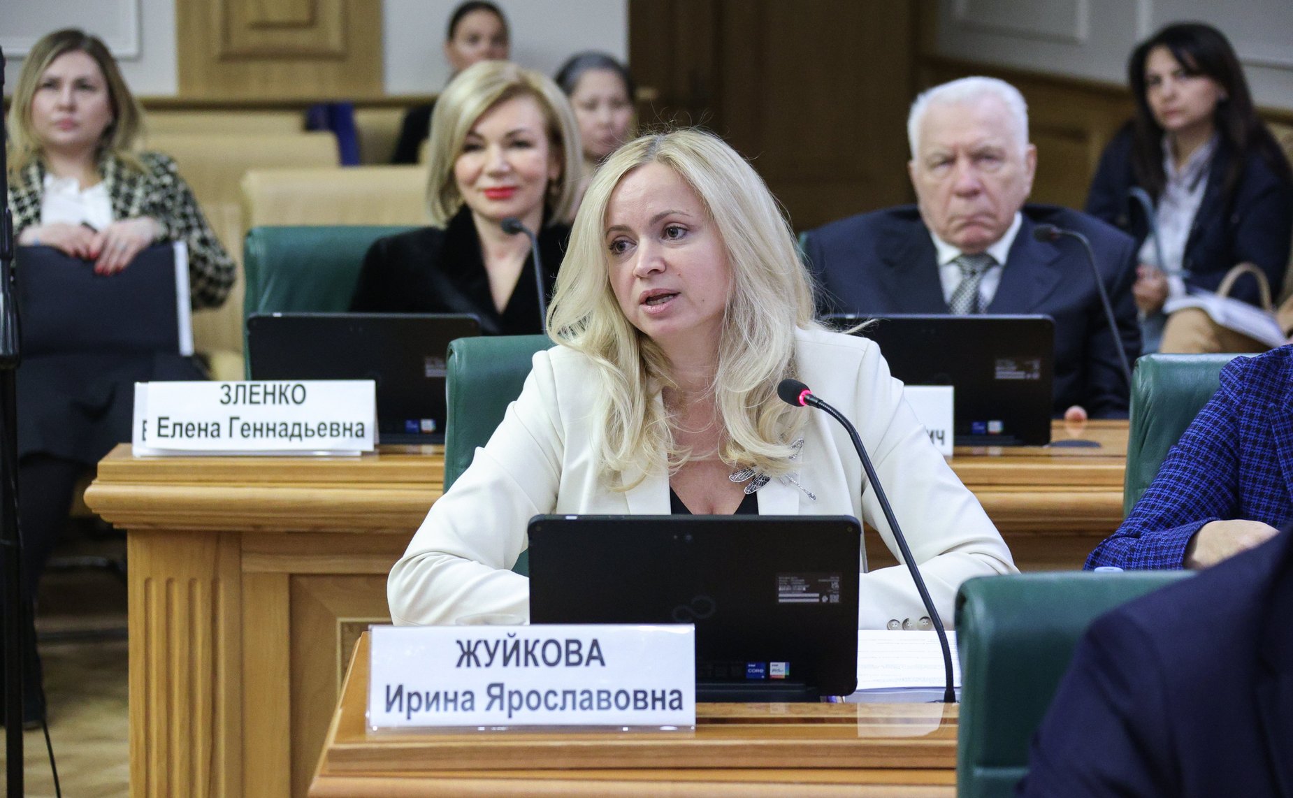 Заседание Совета по вопросам развития Дальнего Востока, Арктики и Антарктики при СФ