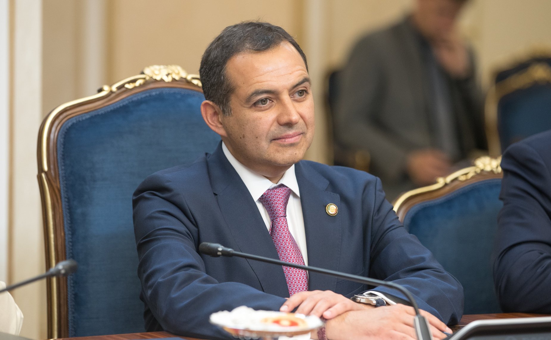 Председатель Палаты сенаторов Генерального конгресса Мексики