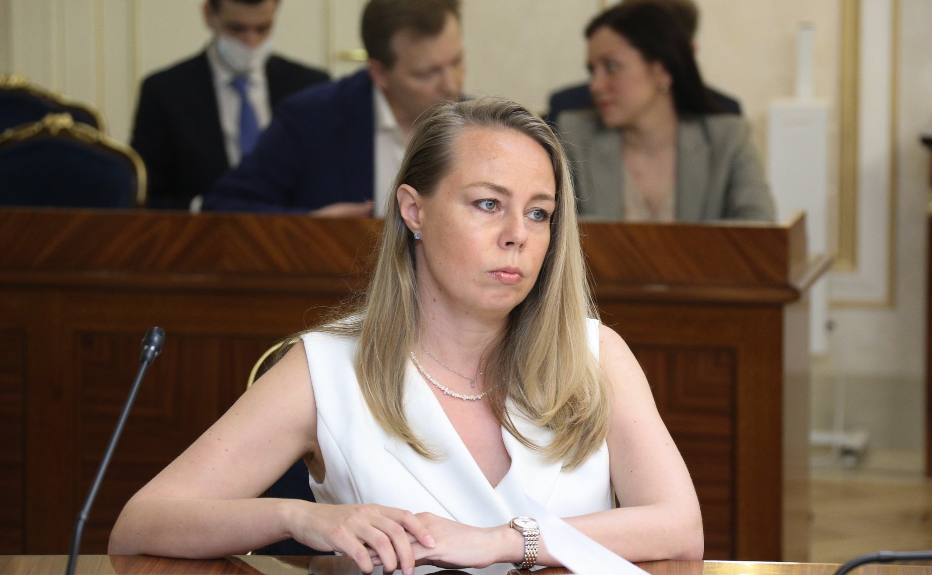 Заседание Совета по развитию финансового рынка при СФ