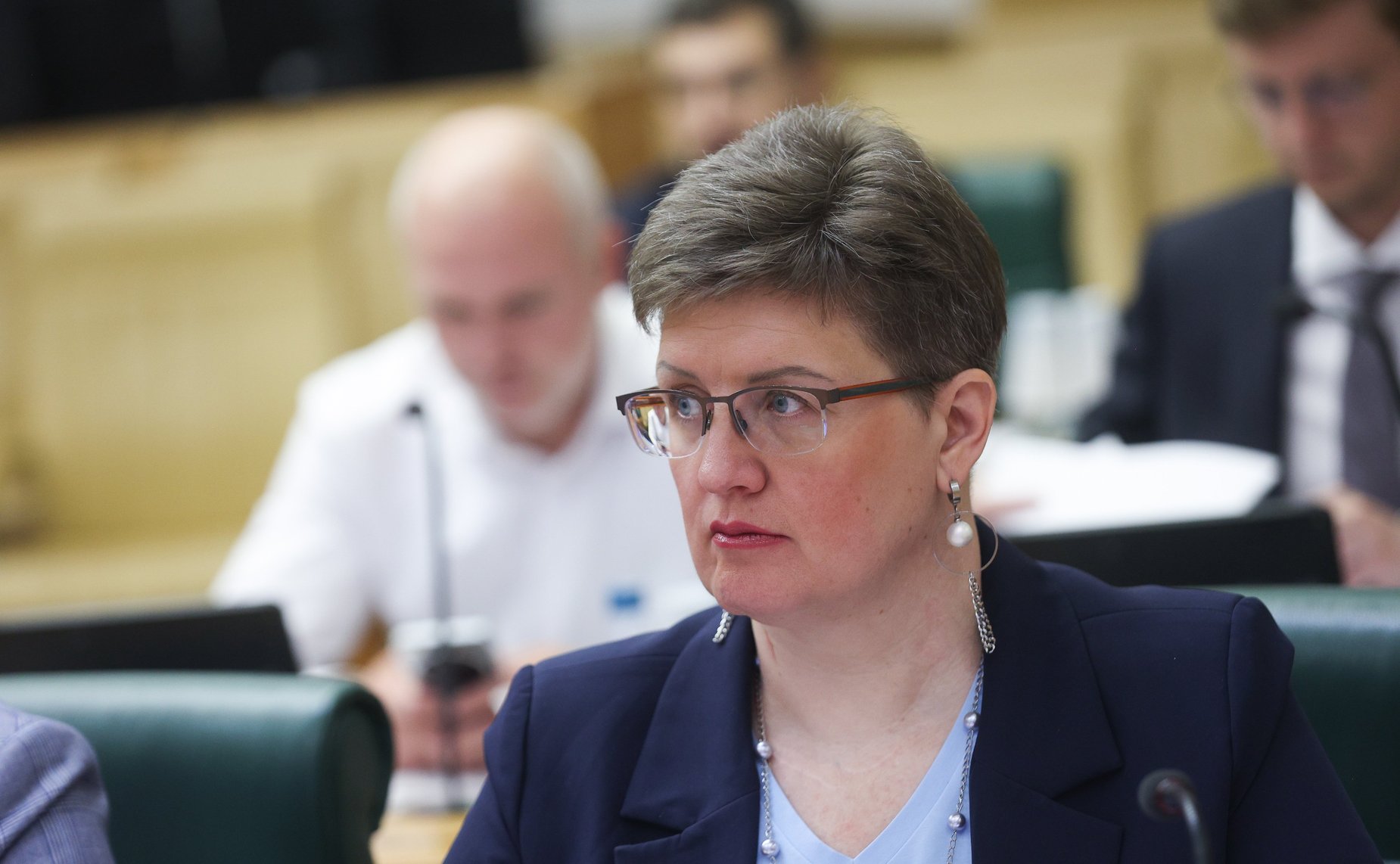 Заседание экспертно-консультативного совета при Комитете Совета Федерации по конституционному законодательству и государственному строительству