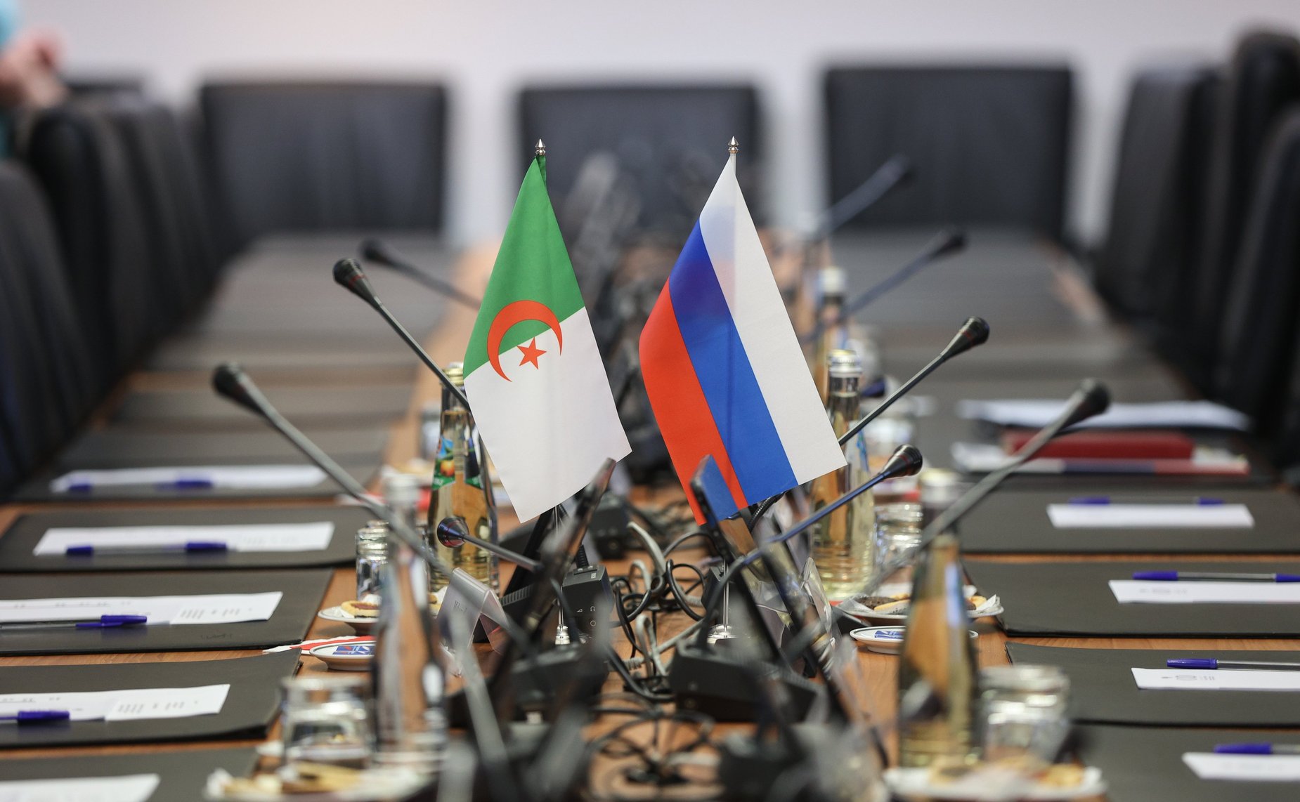 Встреча сенаторов РФ с Чрезвычайным и Полномочным Послом Алжира в Российской Федерации