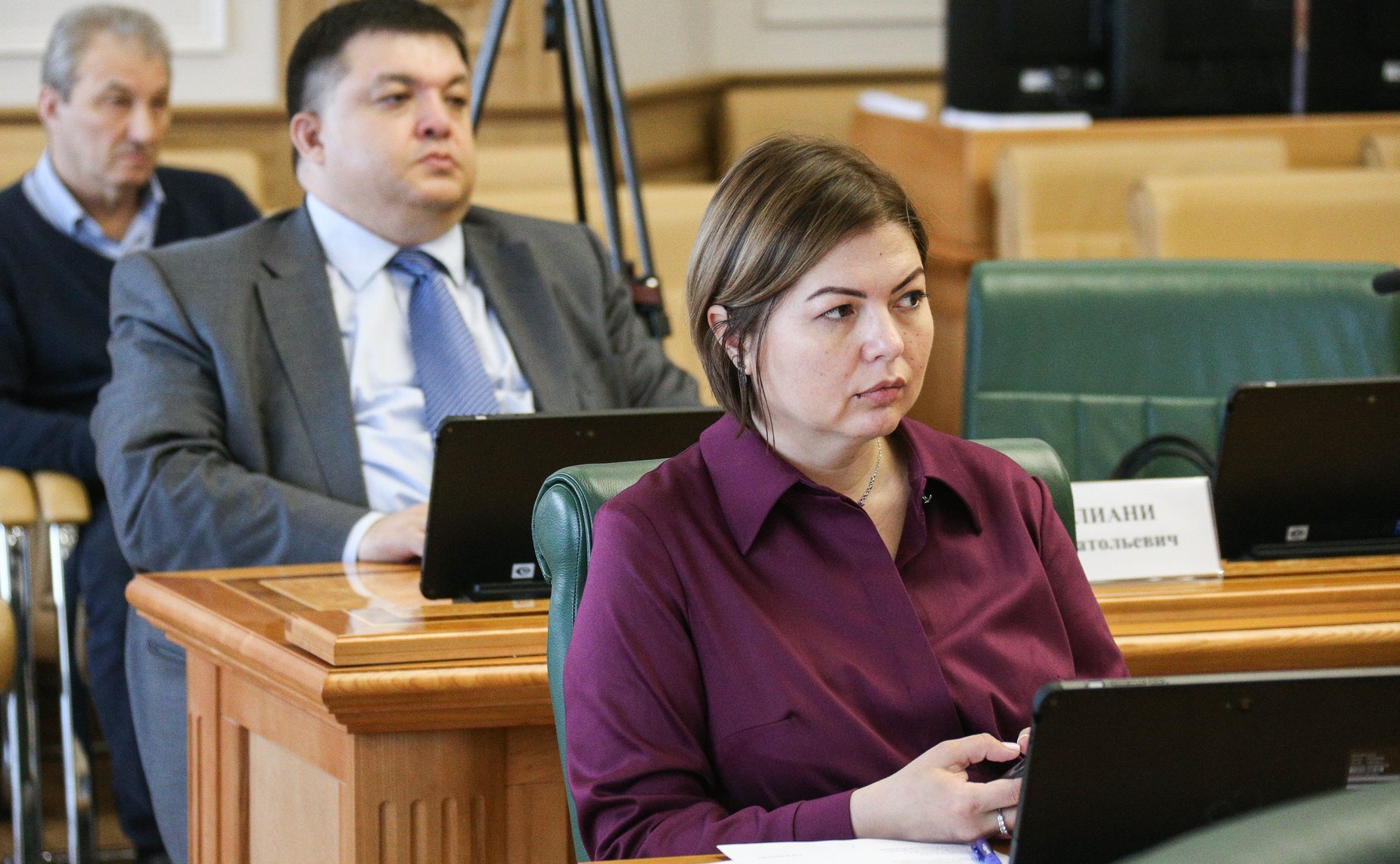 Заседание Совета по развитию социальных инноваций субъектов РФ при СФ