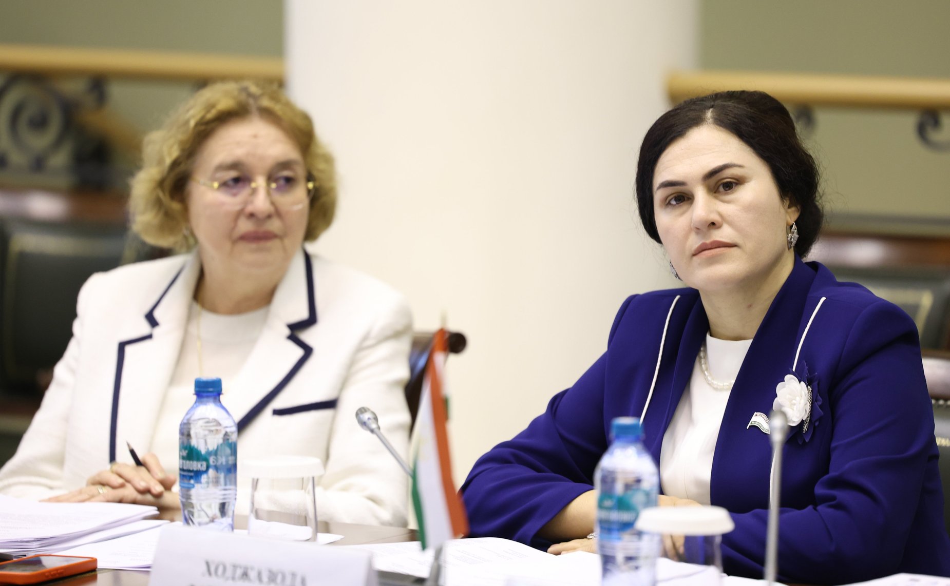 Заседание Постоянной комиссии МПА СНГ по культуре, информации, туризму и спорту