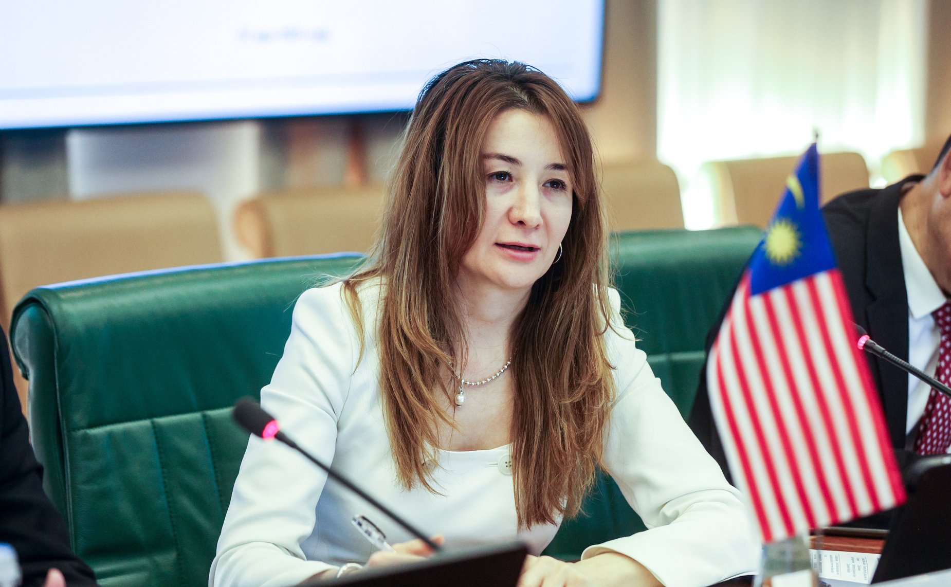 Григорий Карасин провел встречу с заместителем Председателя Сената Парламента Малайзии Нуром Джазланом Мохамедом