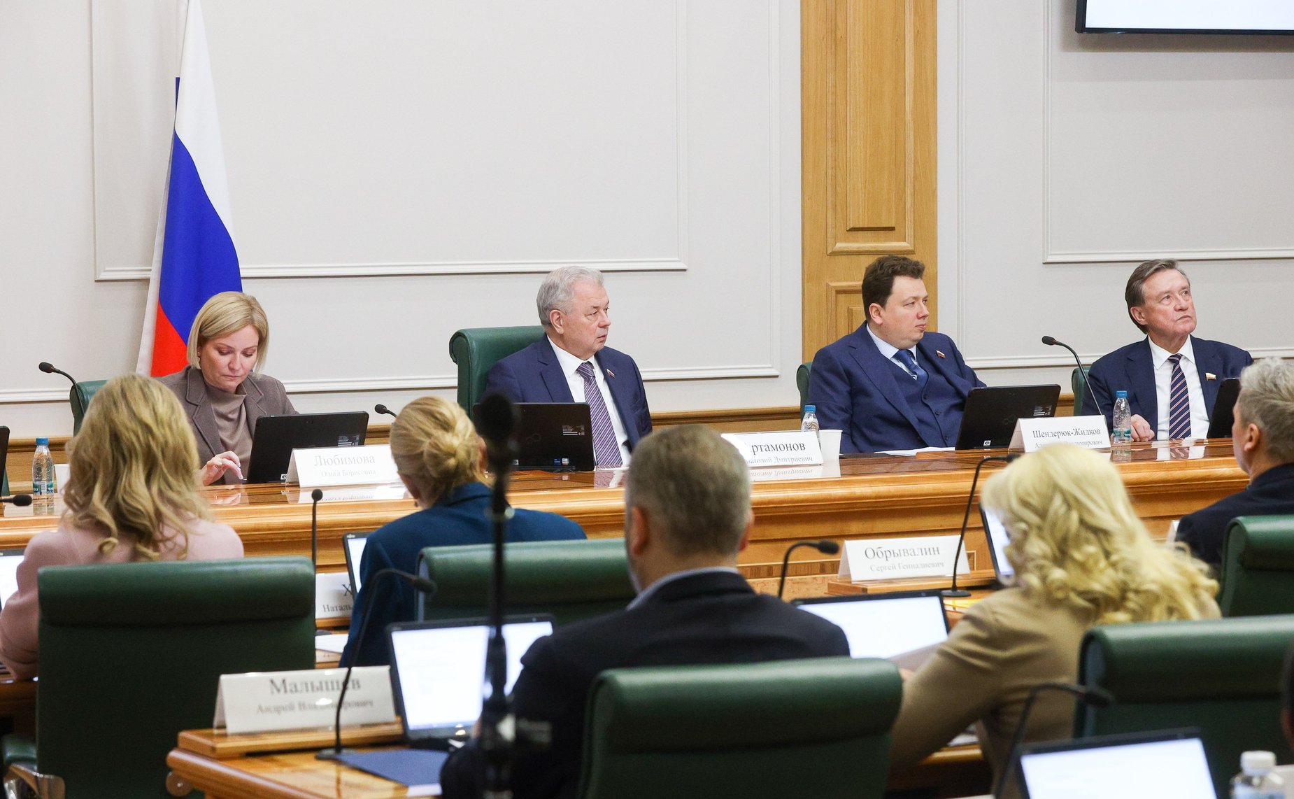 Расширенное заседание Комитета СФ по бюджету и финансовым рынкам «Об эффективности использования средств федерального бюджета на реализацию государственной программы Российской Федерации «Развитие культуры»