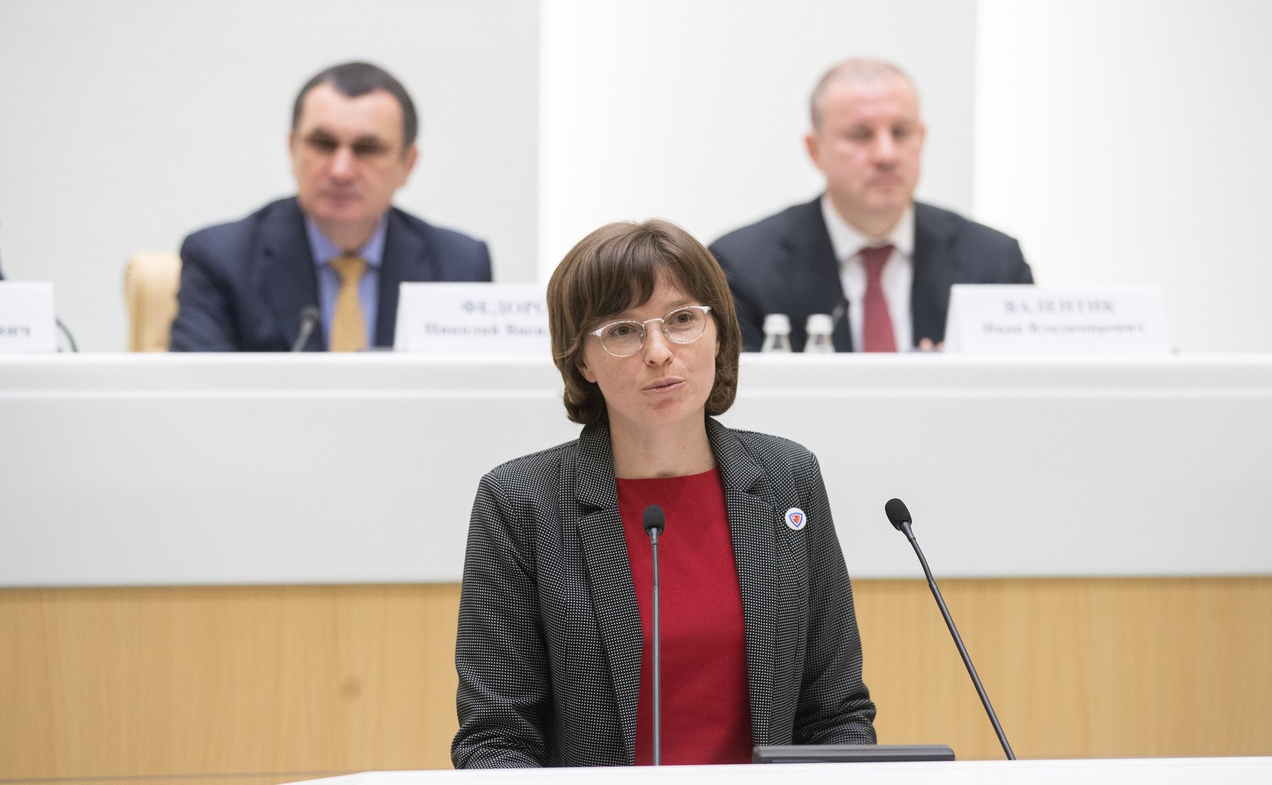 Встреча с активистами экологического образования, посвященная итогам проведения Года добровольца (волонтера)