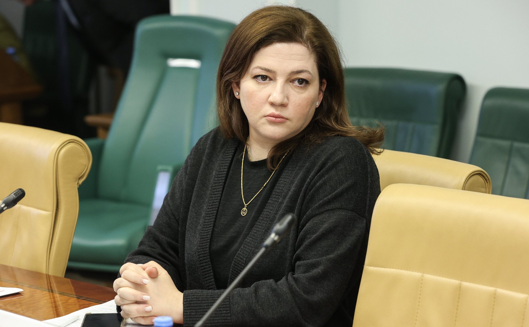 Совещание Комитета СФ по Регламенту и организации парламентской деятельности совместно с Комитетом СФ по социальной политике