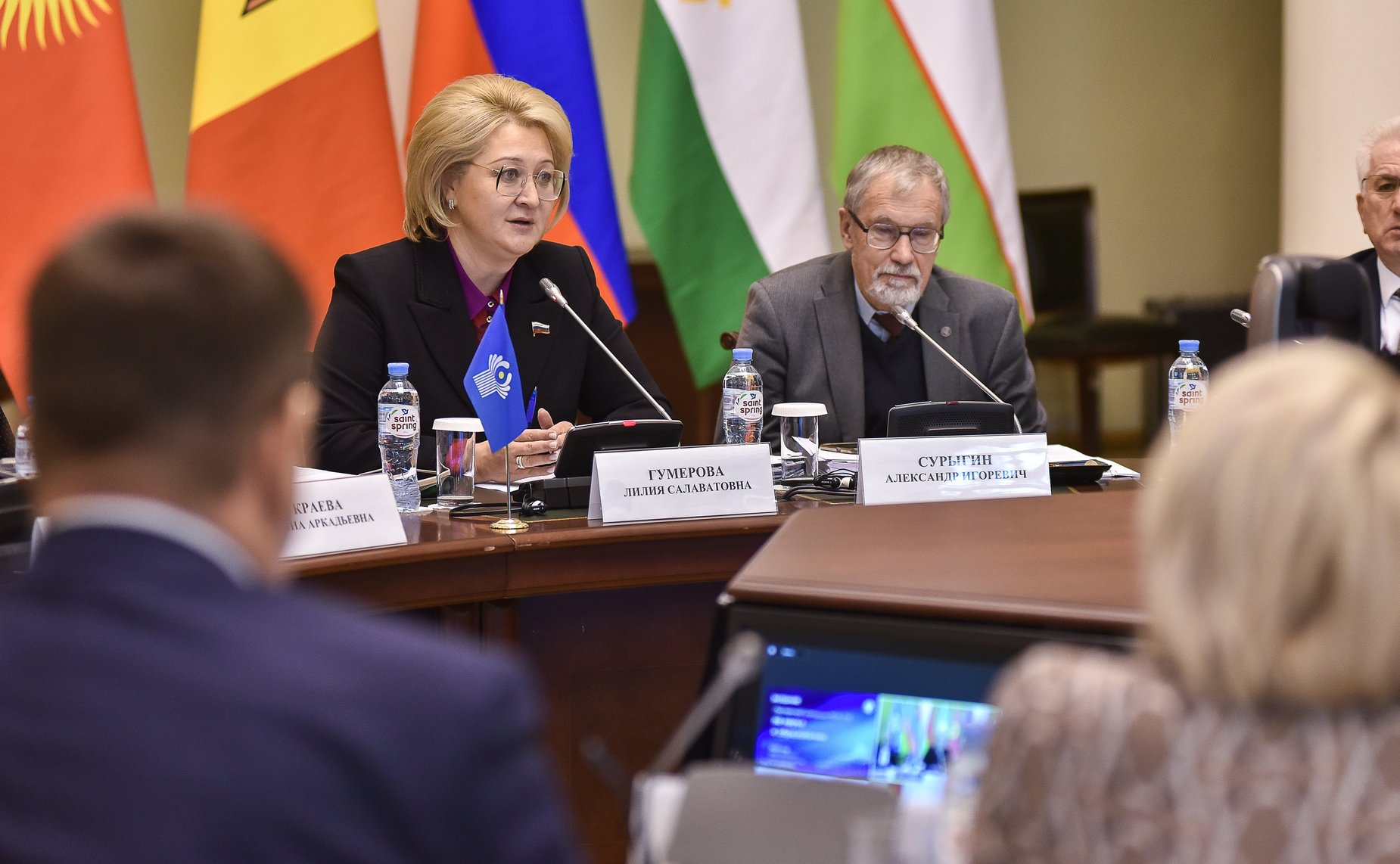 Лилия Гумерова провела заседание Постоянной комиссии МПА СНГ по науке и образованию