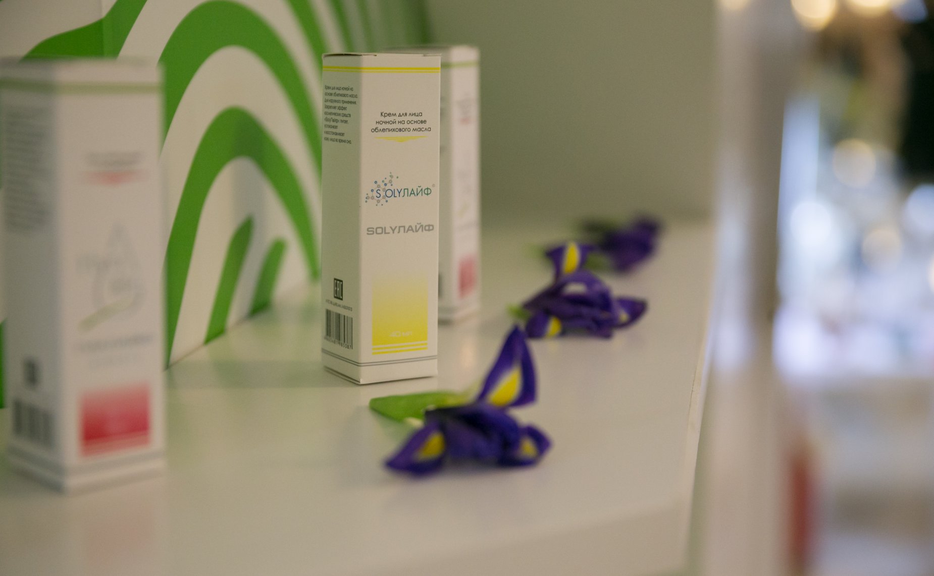 Зкспозиция в Совете Федерации, посвященная достижениям и перспективам развития Оренбургской области