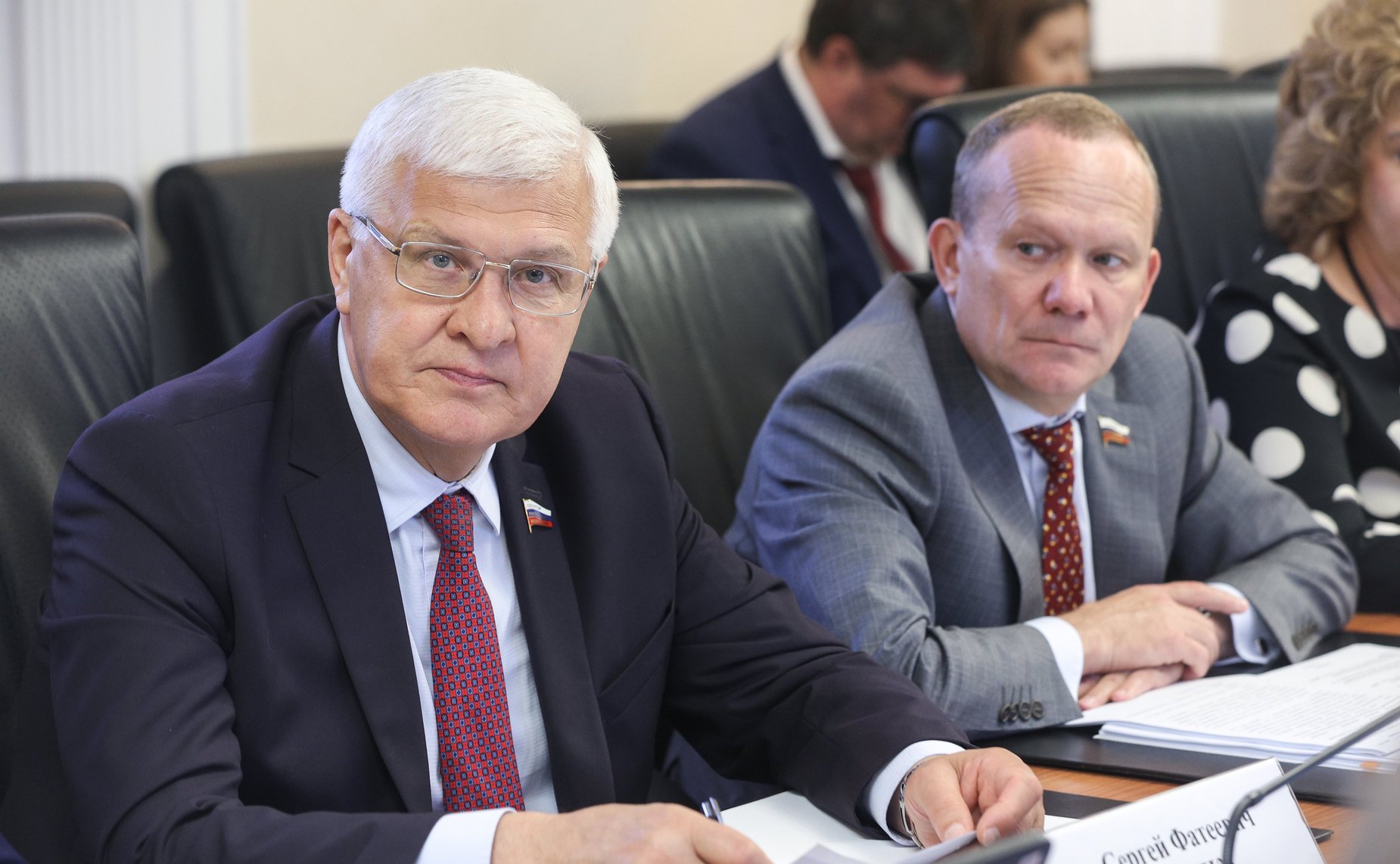 Заседание Комитета СФ по Регламенту и организации парламентской деятельности